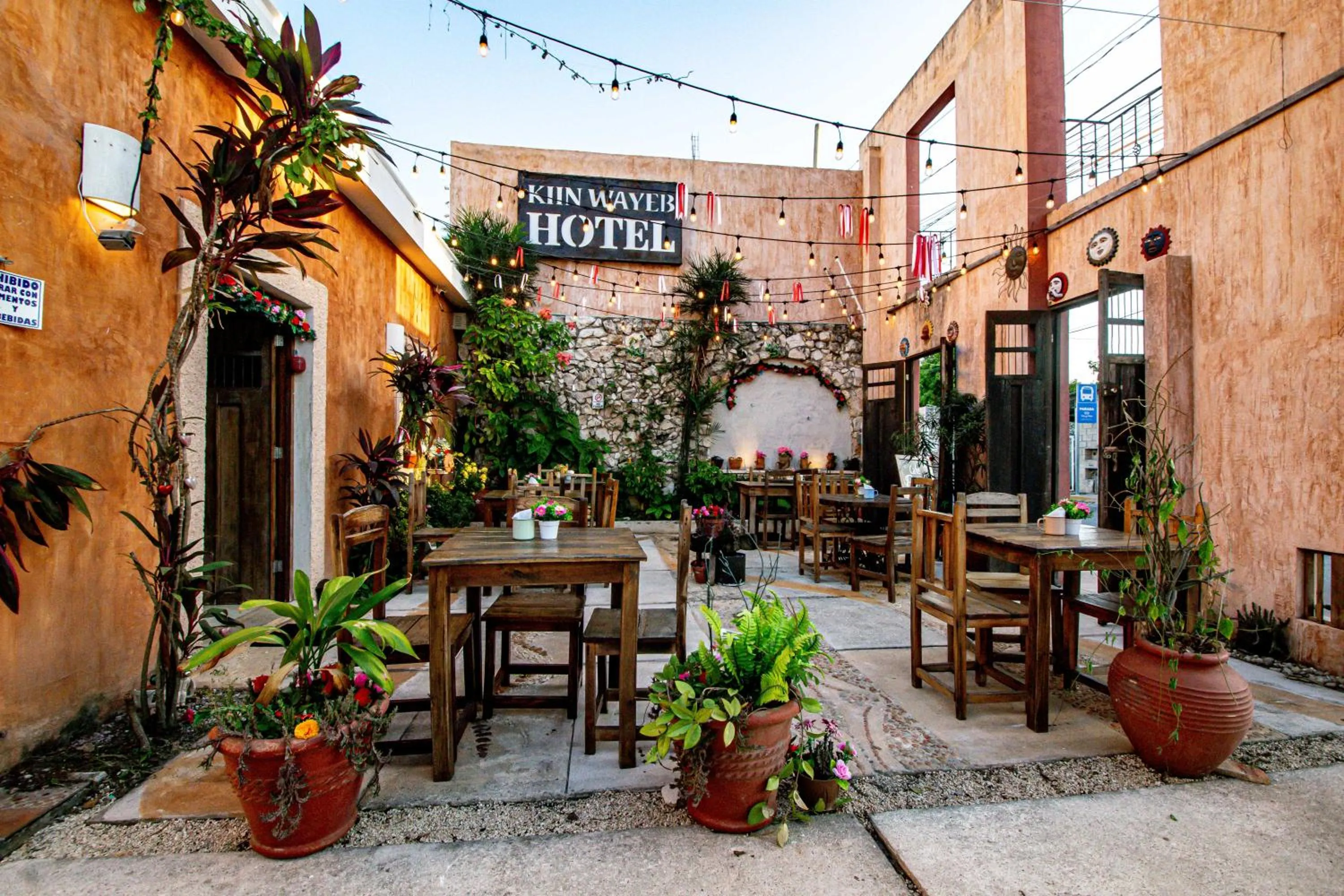 Garden in Hotel Boutique Kiin Wayeb