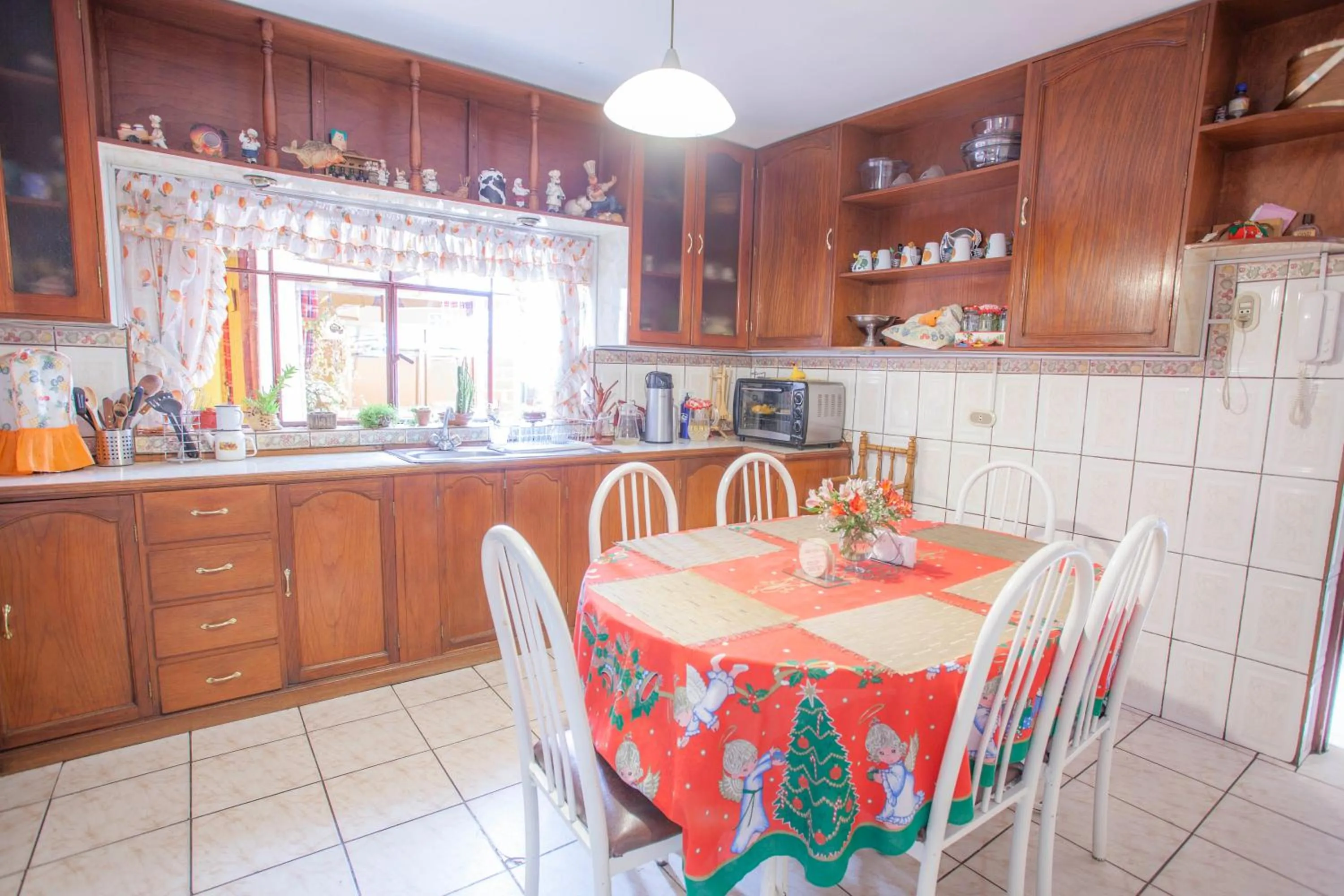 Communal kitchen in Alojamiento Soledad