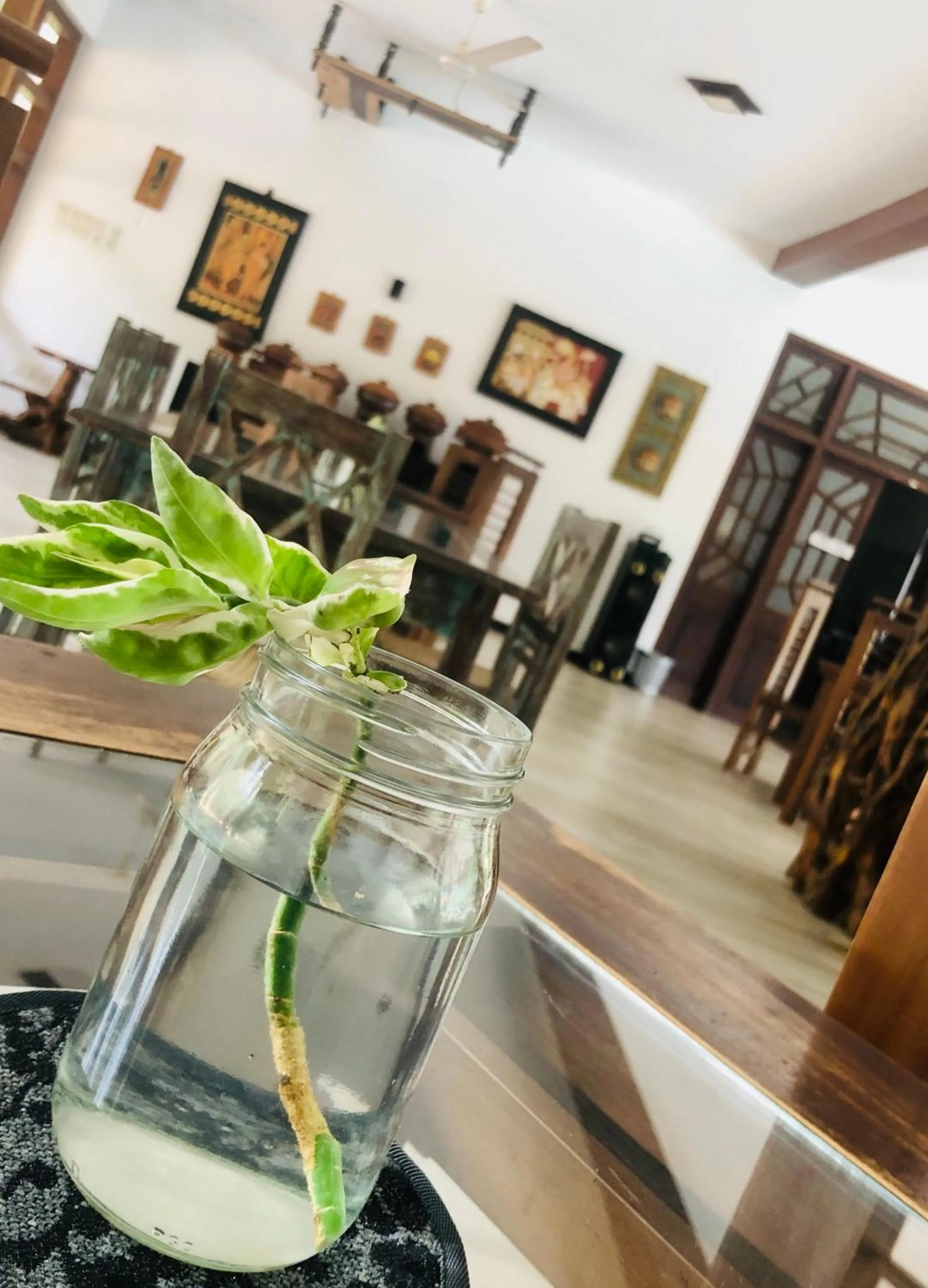 Lounge or bar in Saman Resort Yala