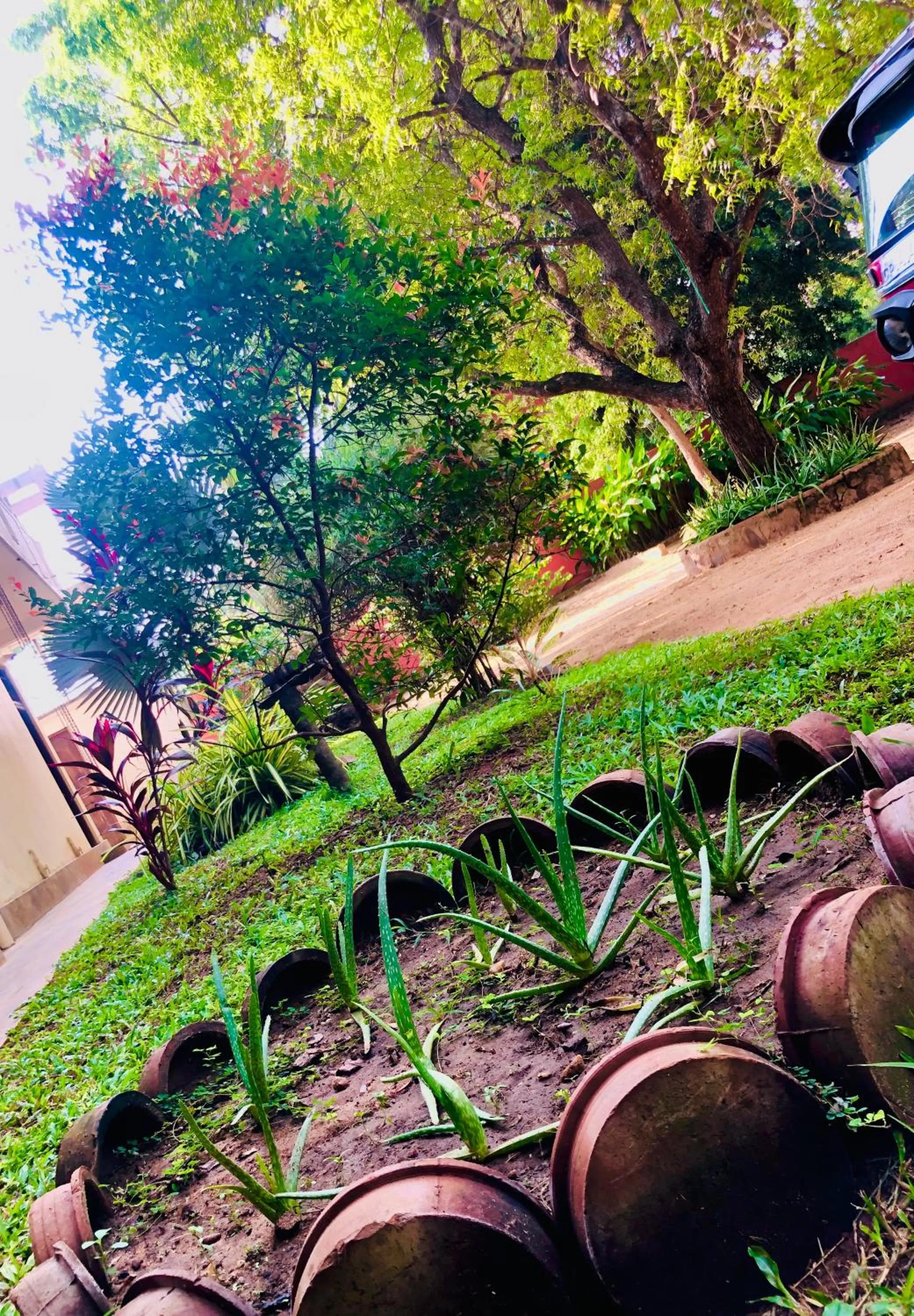 Natural landscape in Saman Resort Yala