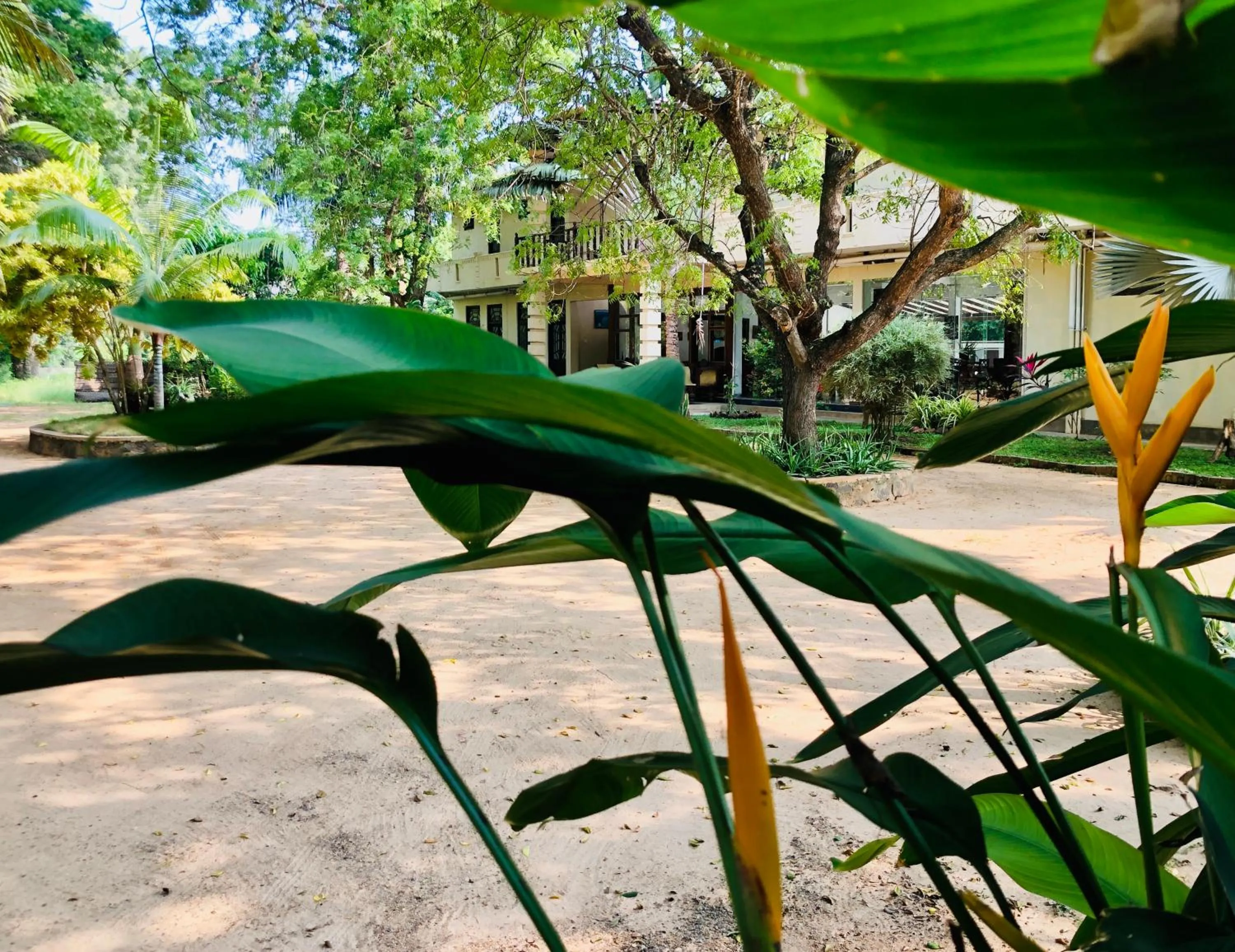 Natural landscape in Saman Resort Yala