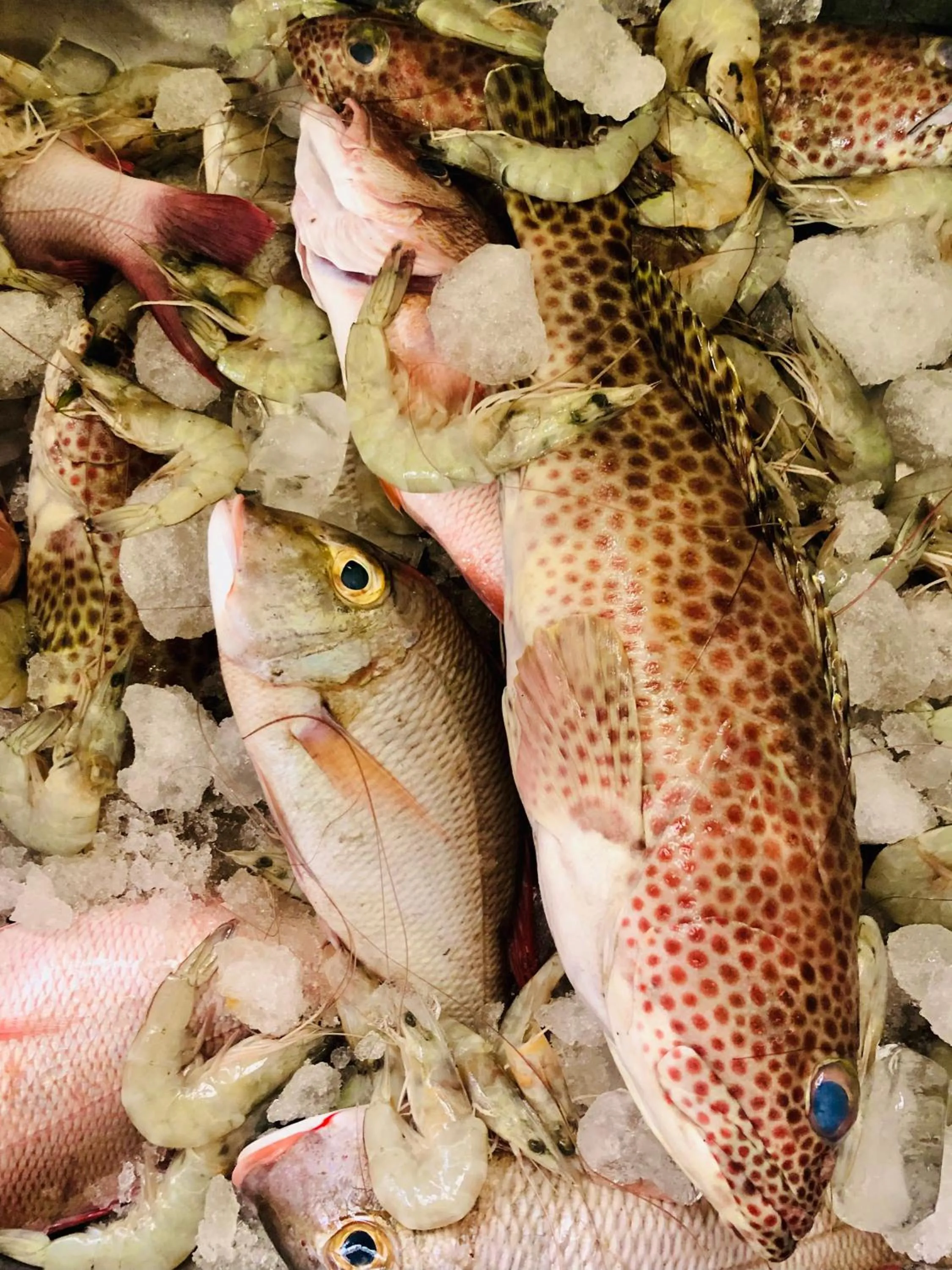 Food and drinks in Saman Resort Yala