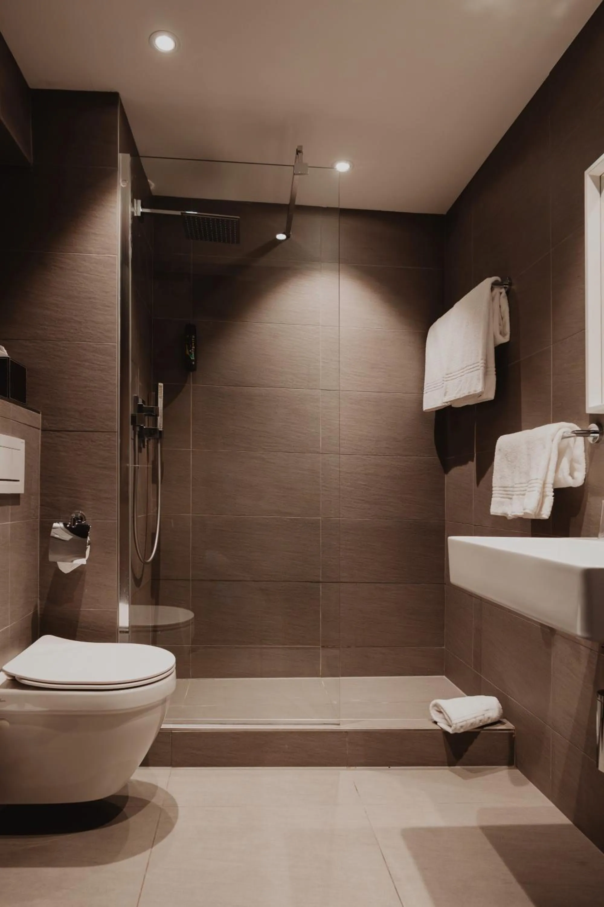 Bathroom in Hotel Bristol Verbier