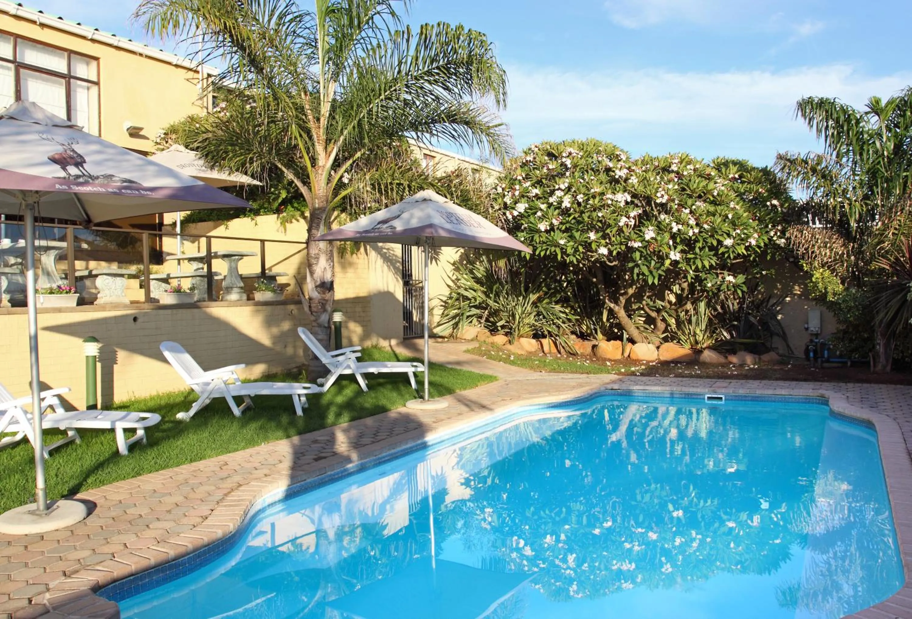 Swimming pool in Hotel Portao Diaz