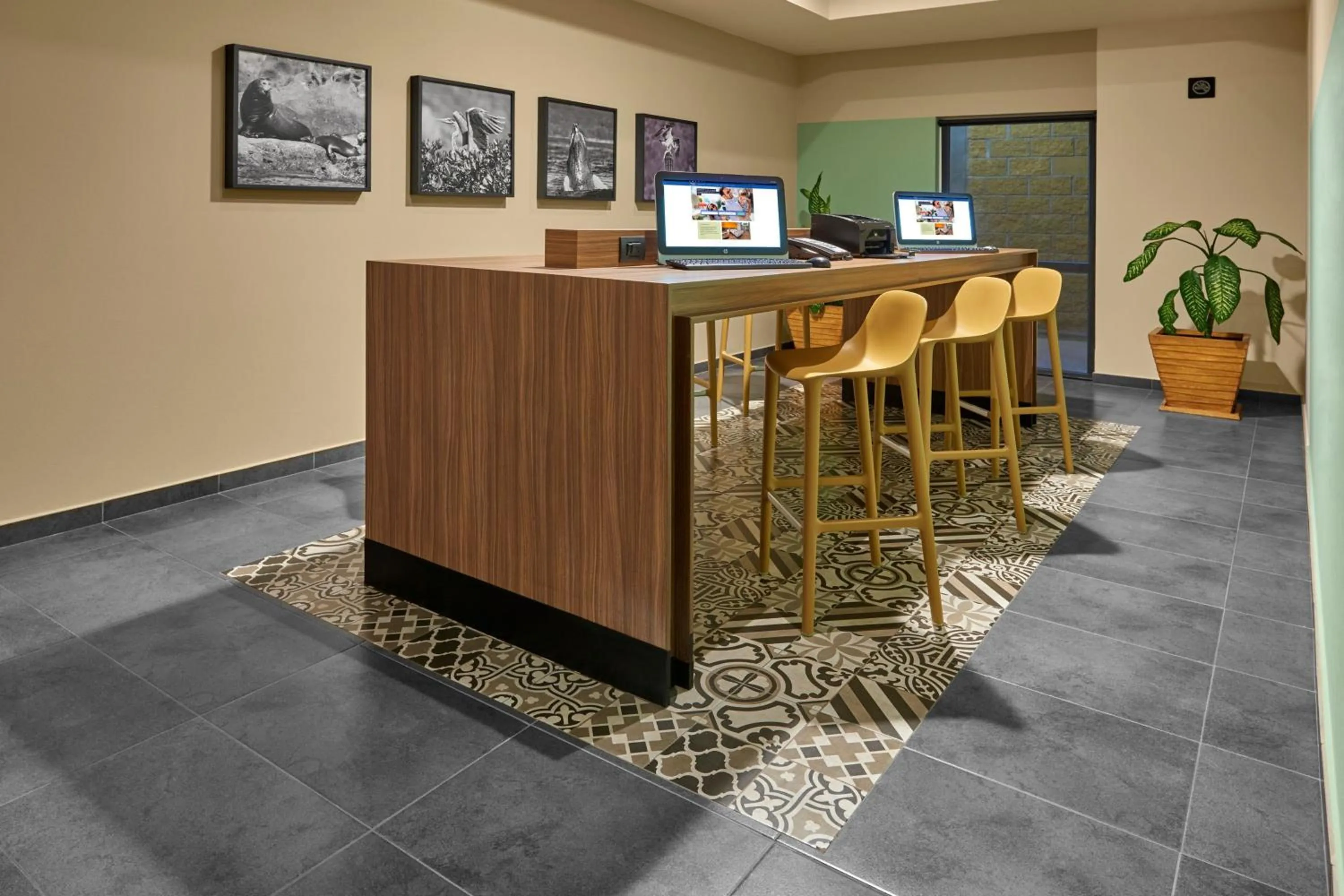 Other in City Express Suites by Marriott Cabo San Lucas