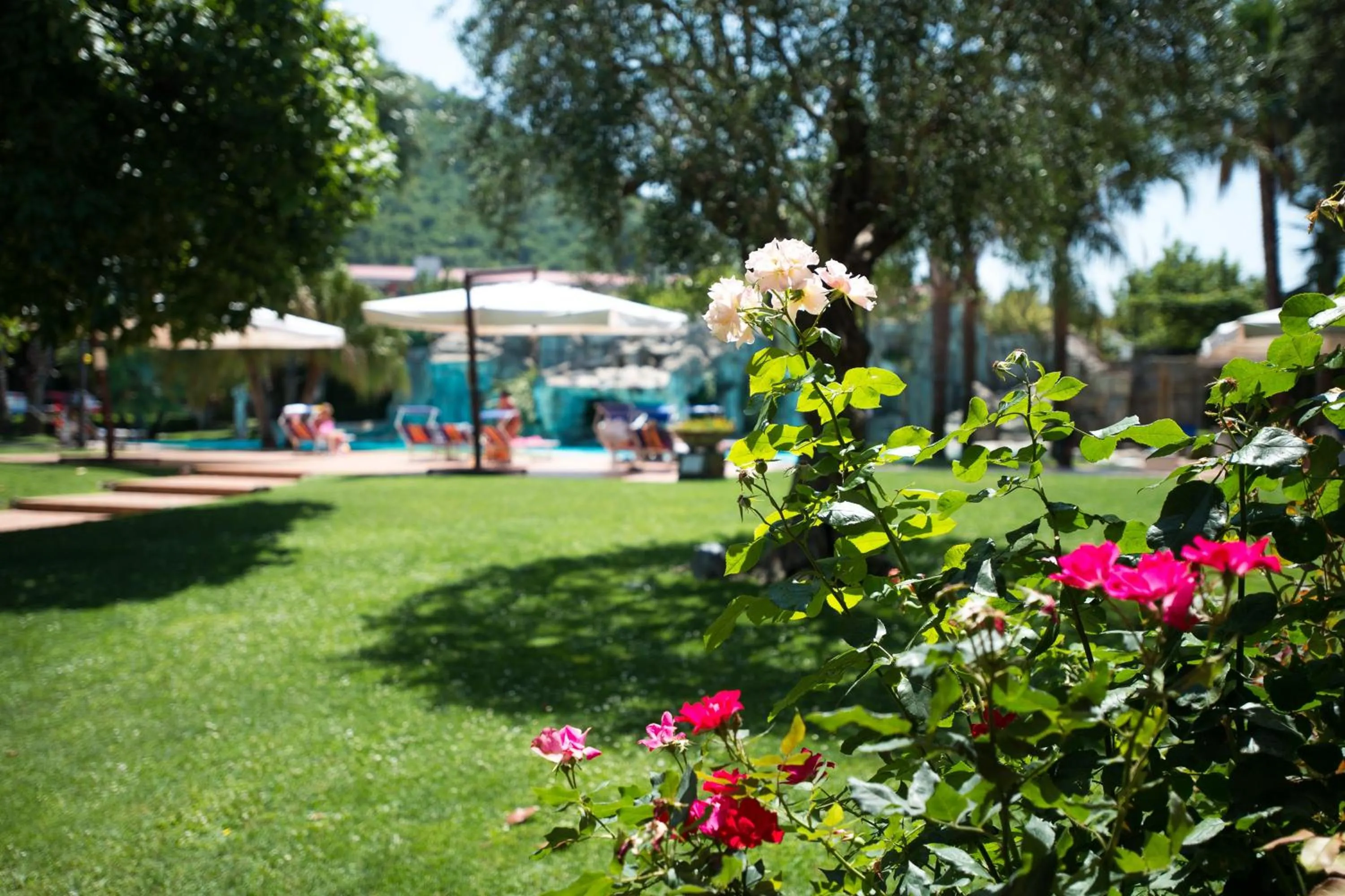 Patio in Hotel Villa Albani
