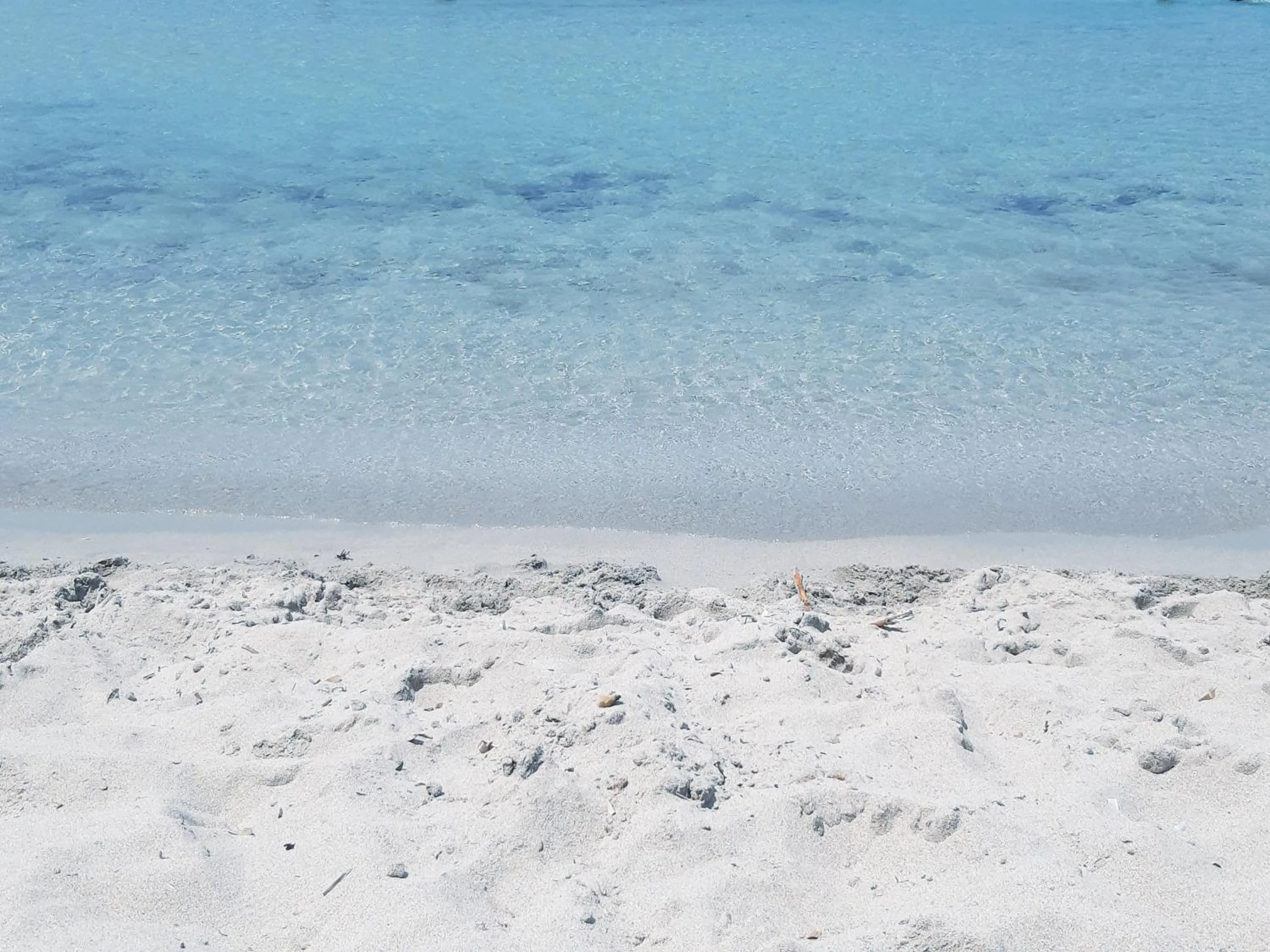 Beach in Hotel Posidonia