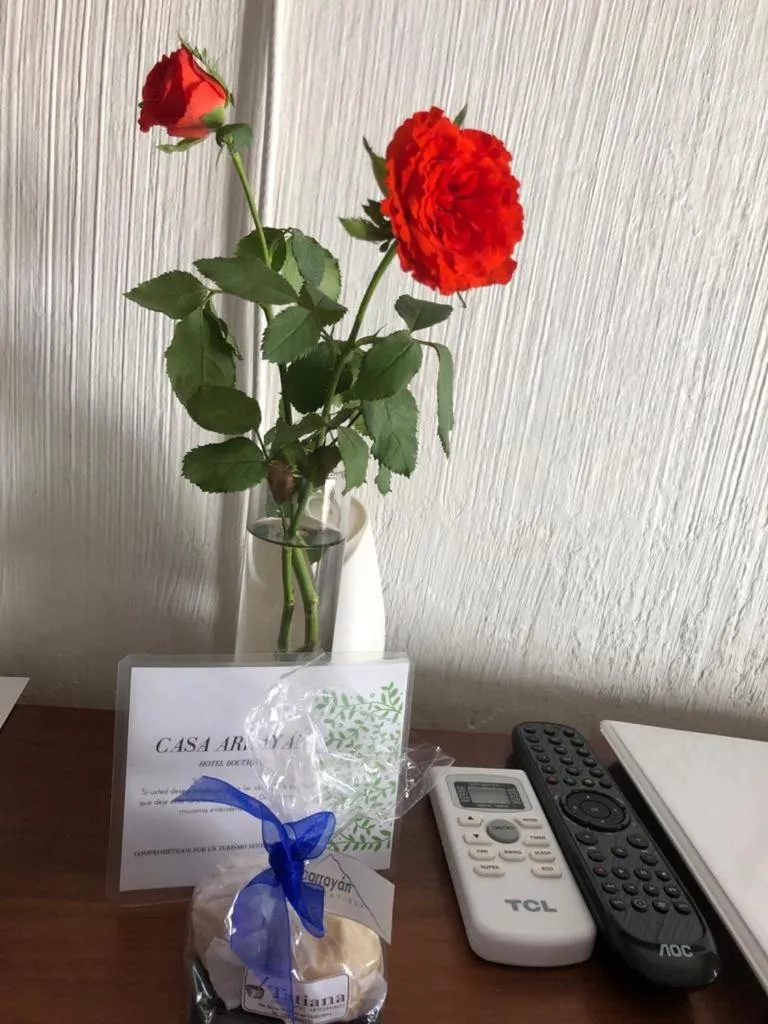 Decorative detail in Casa Arrayán