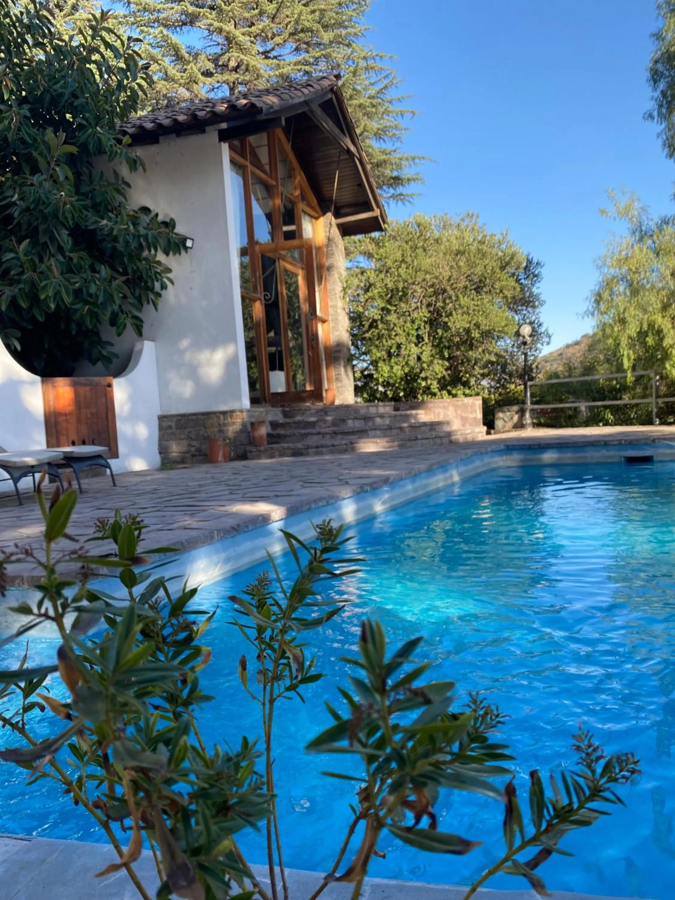 Pool view in Casa Arrayán