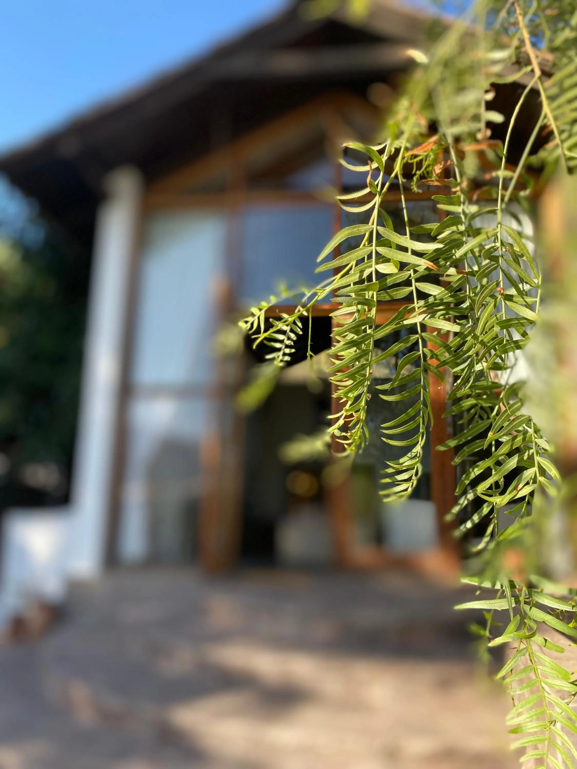 Property building in Casa Arrayán