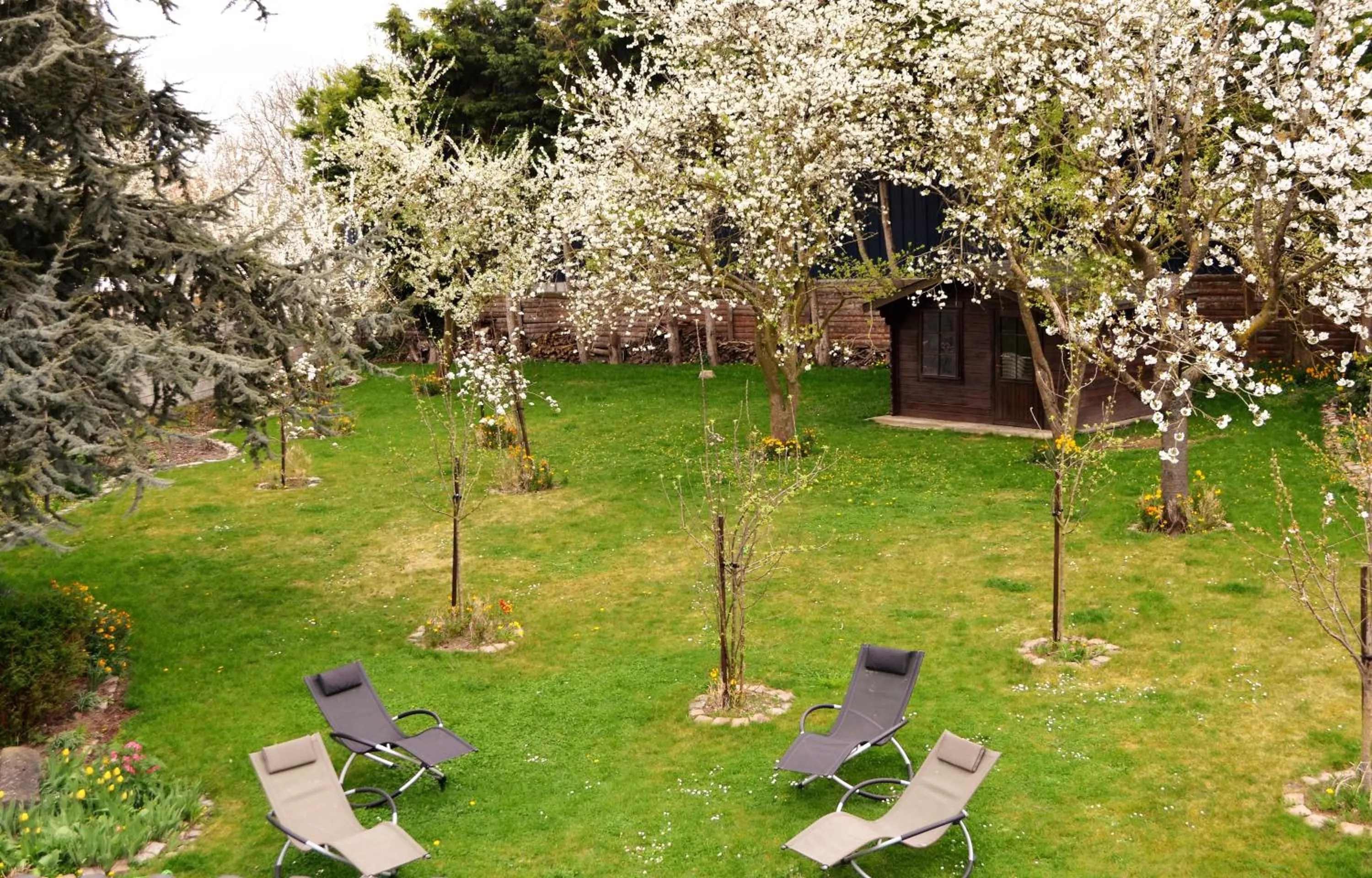 Garden view in Annette's Home