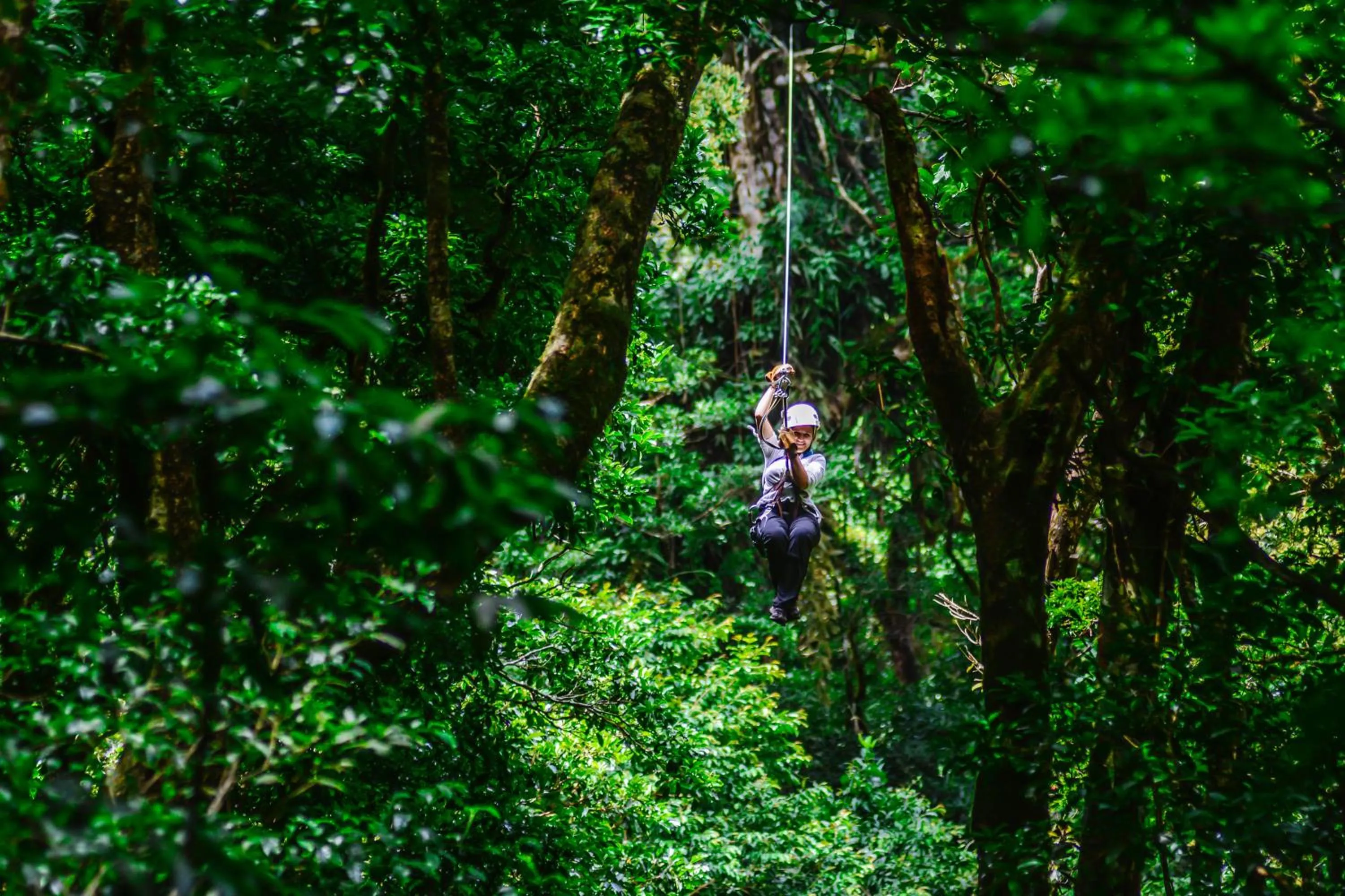 Guests in Cloud Forest Lodge