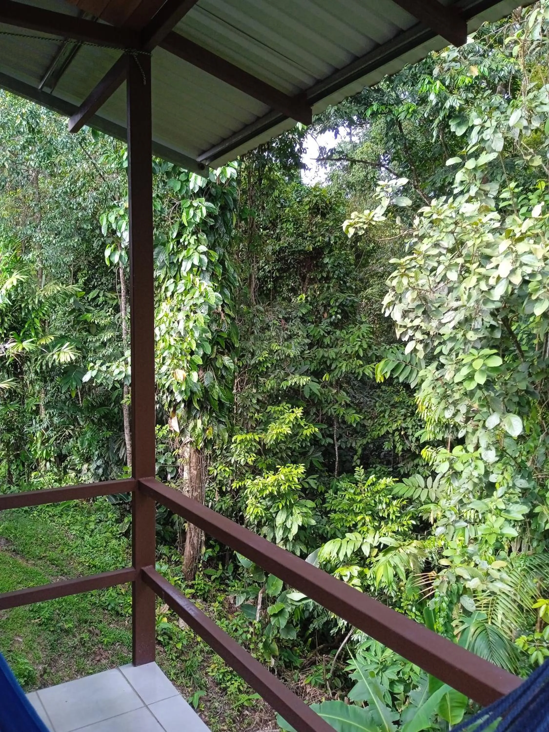 Natural landscape in Cabañas Bajo Bosque Drake