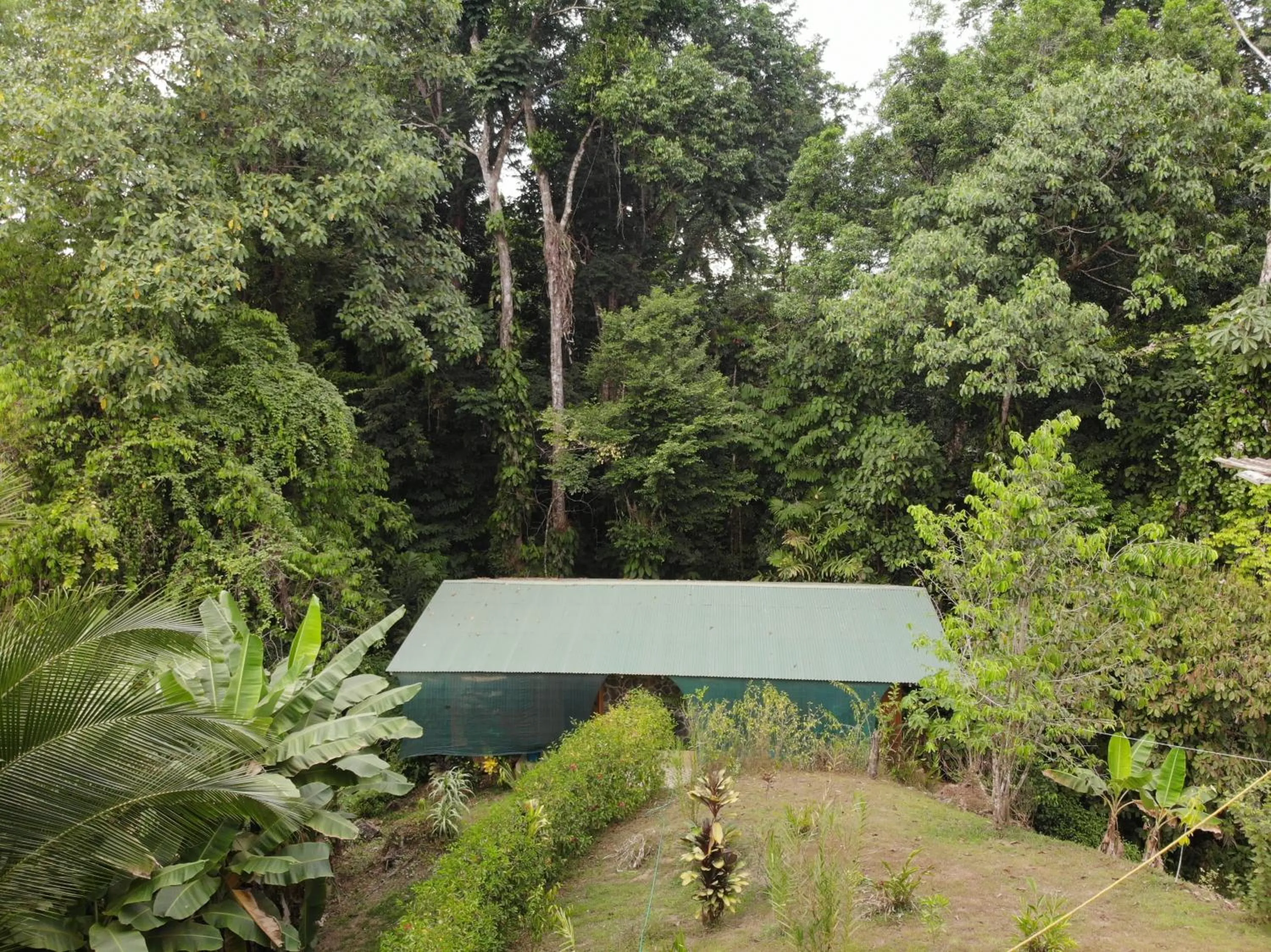 Natural landscape in Cabañas Bajo Bosque Drake