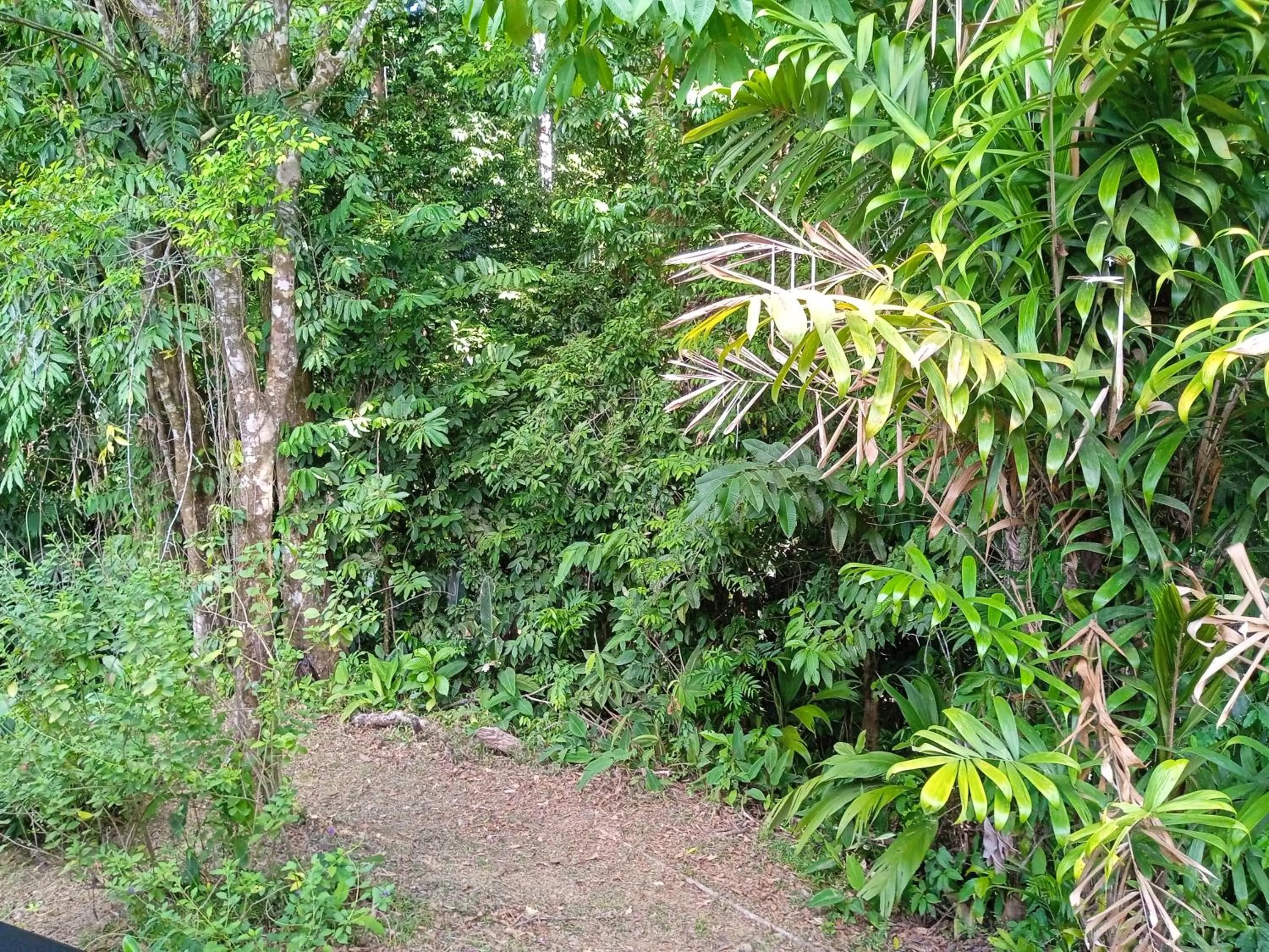 Cabañas Bajo Bosque Drake