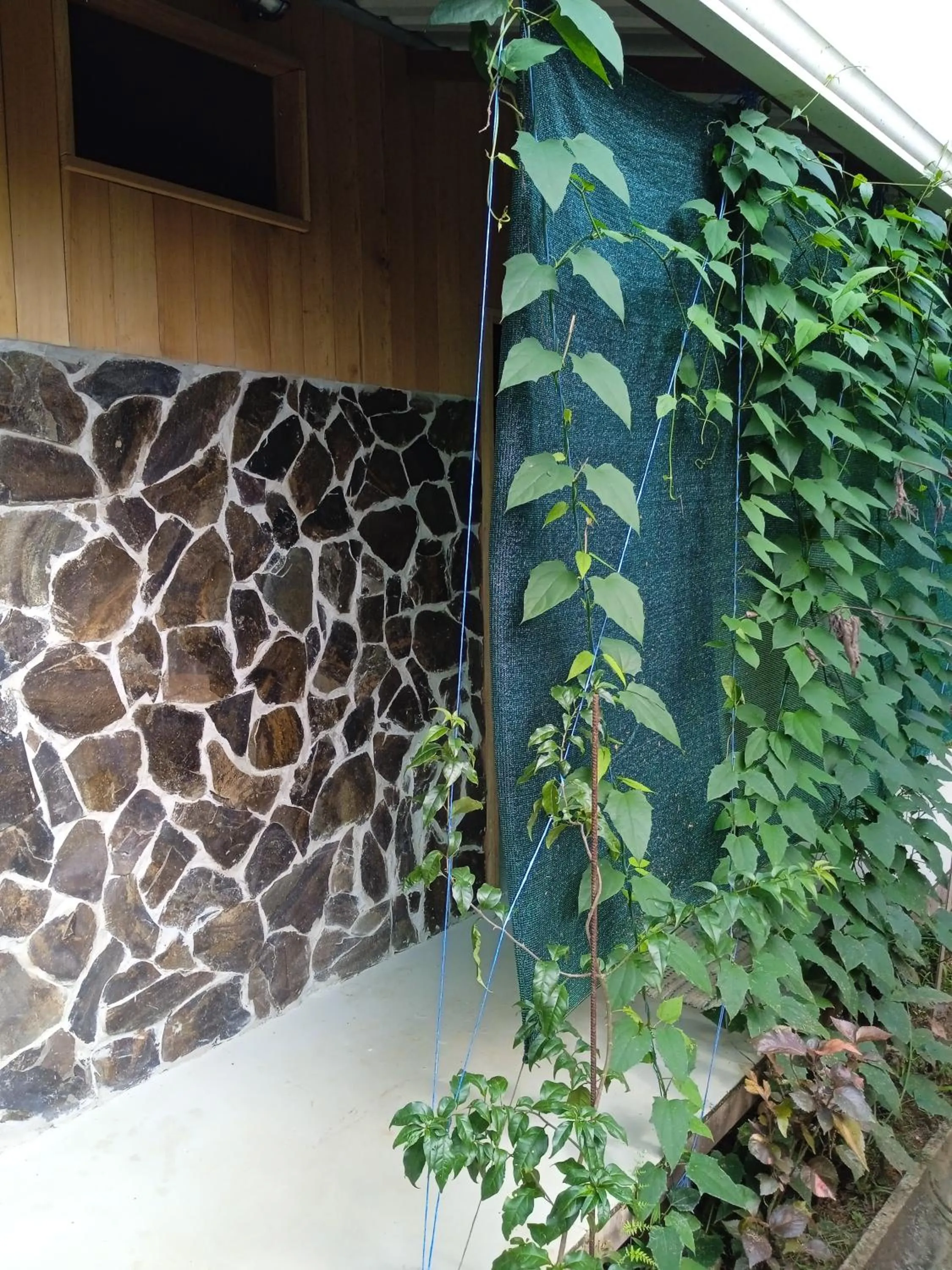 Facade/entrance in Cabañas Bajo Bosque Drake