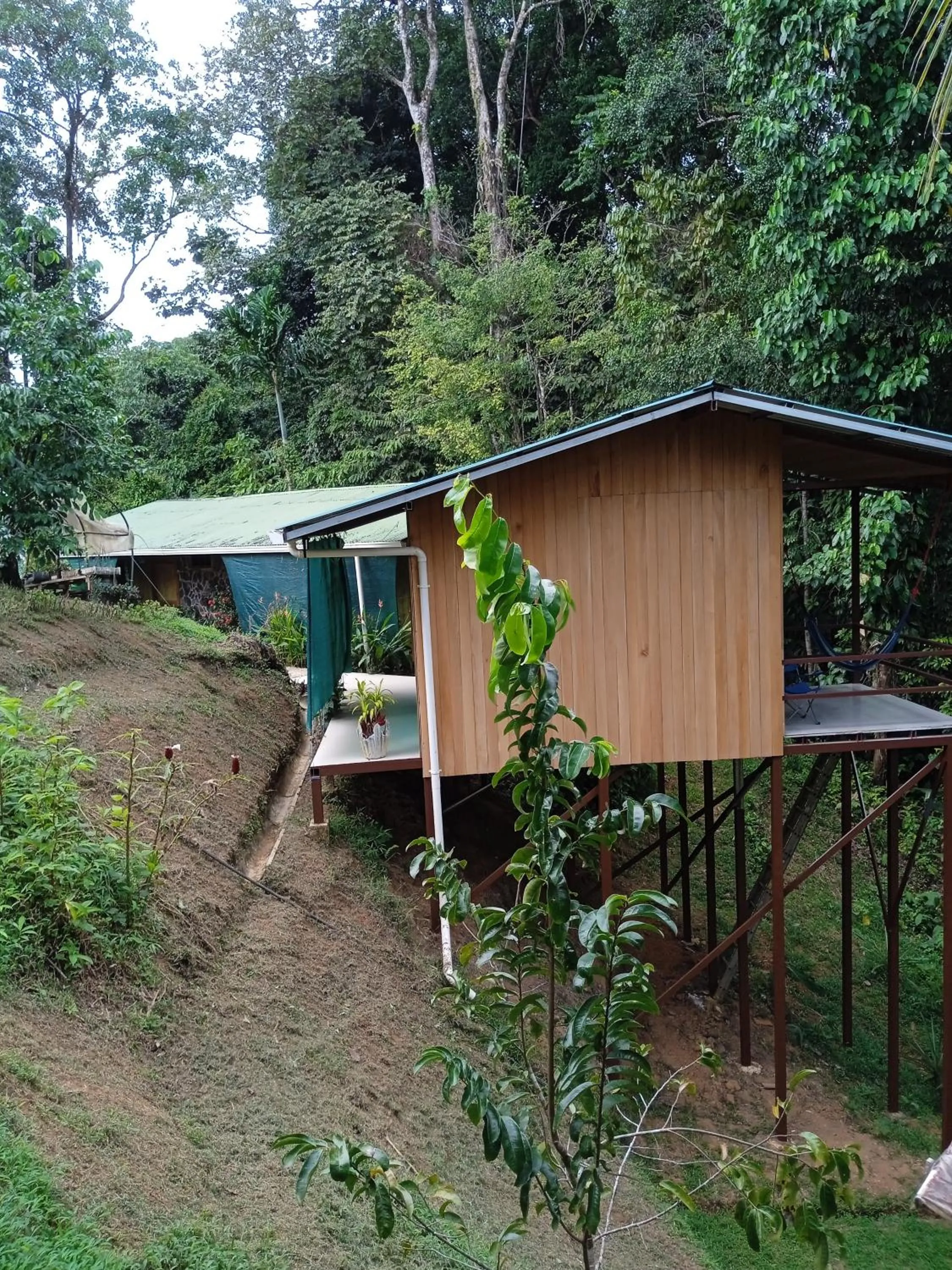 Cabañas Bajo Bosque Drake
