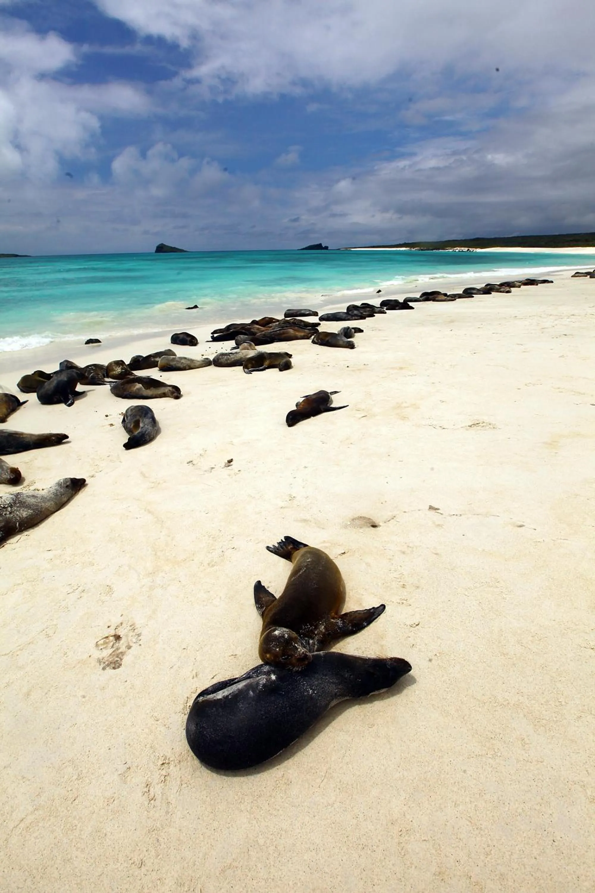 Natural landscape in Hotel Cucuve