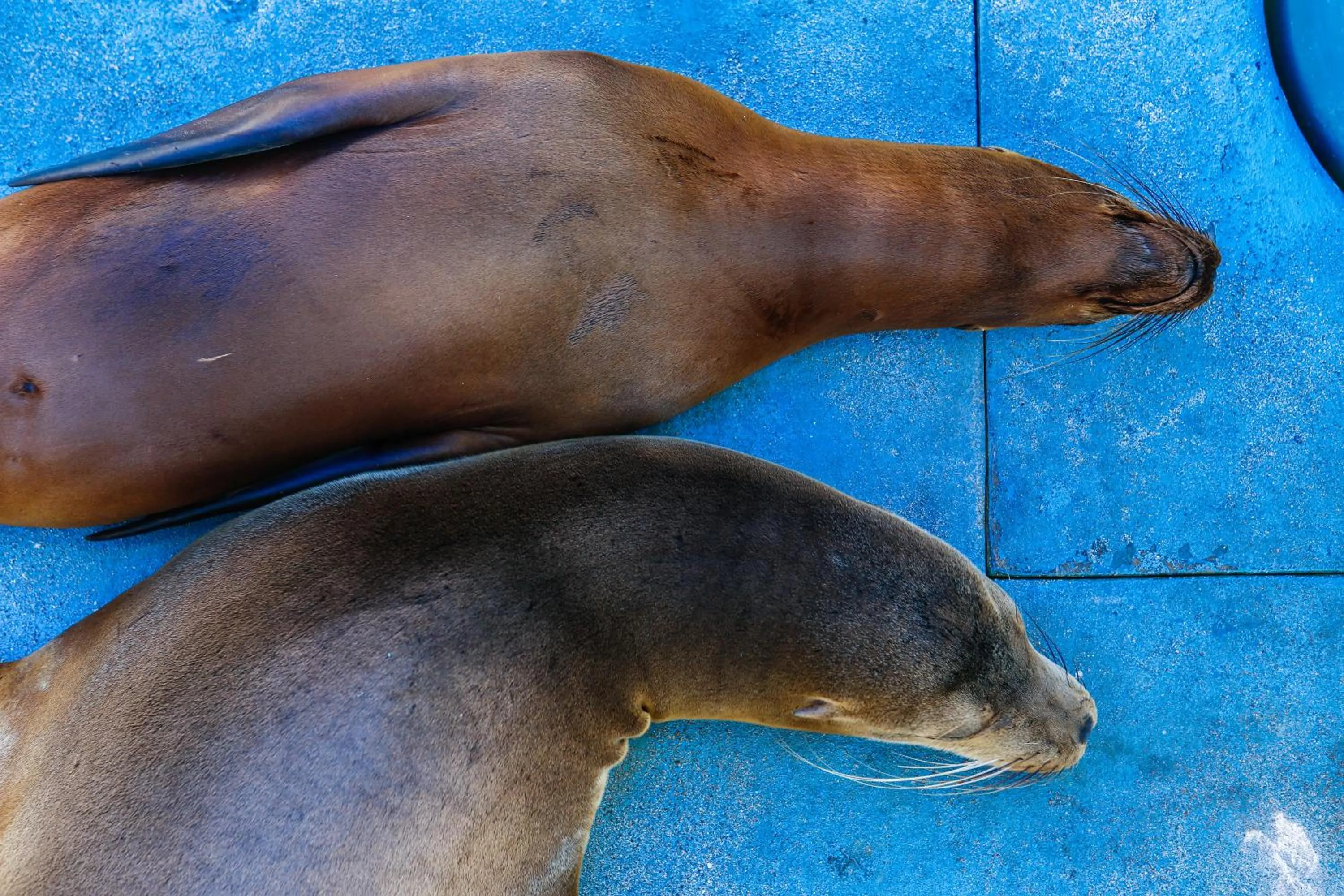Nearby landmark in Hotel Cucuve