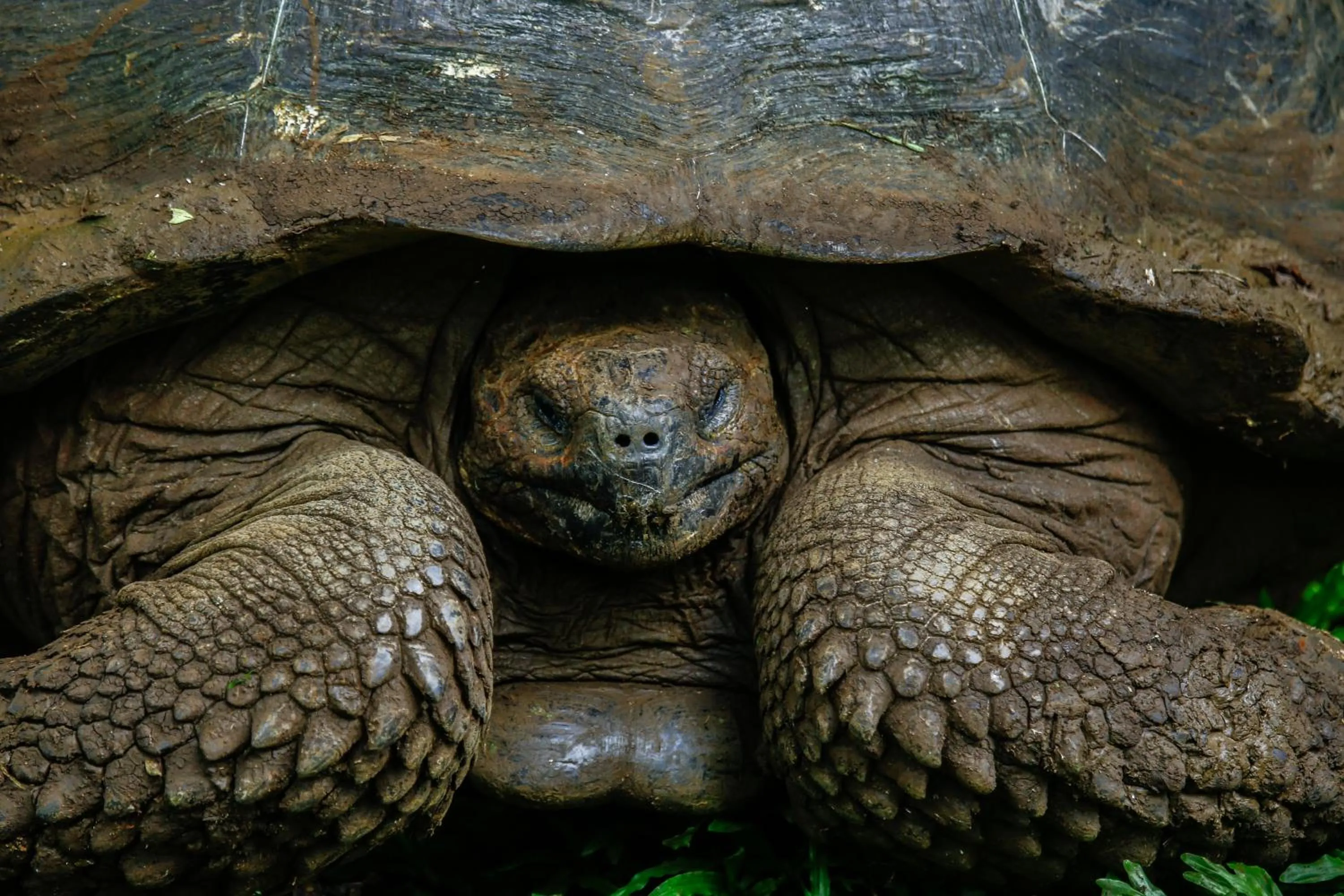 Nearby landmark in Hotel Cucuve