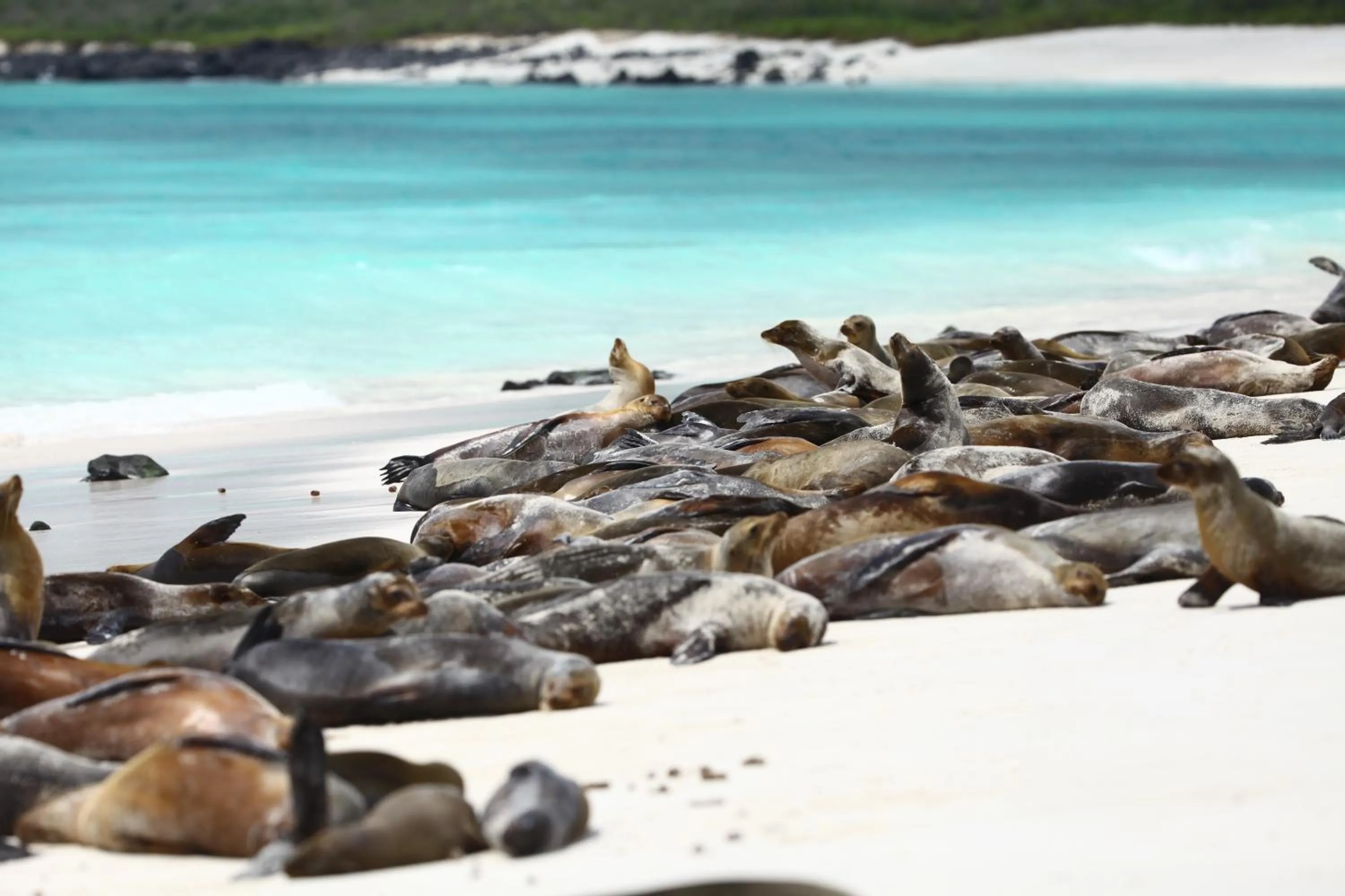 Natural landscape in Hotel Cucuve