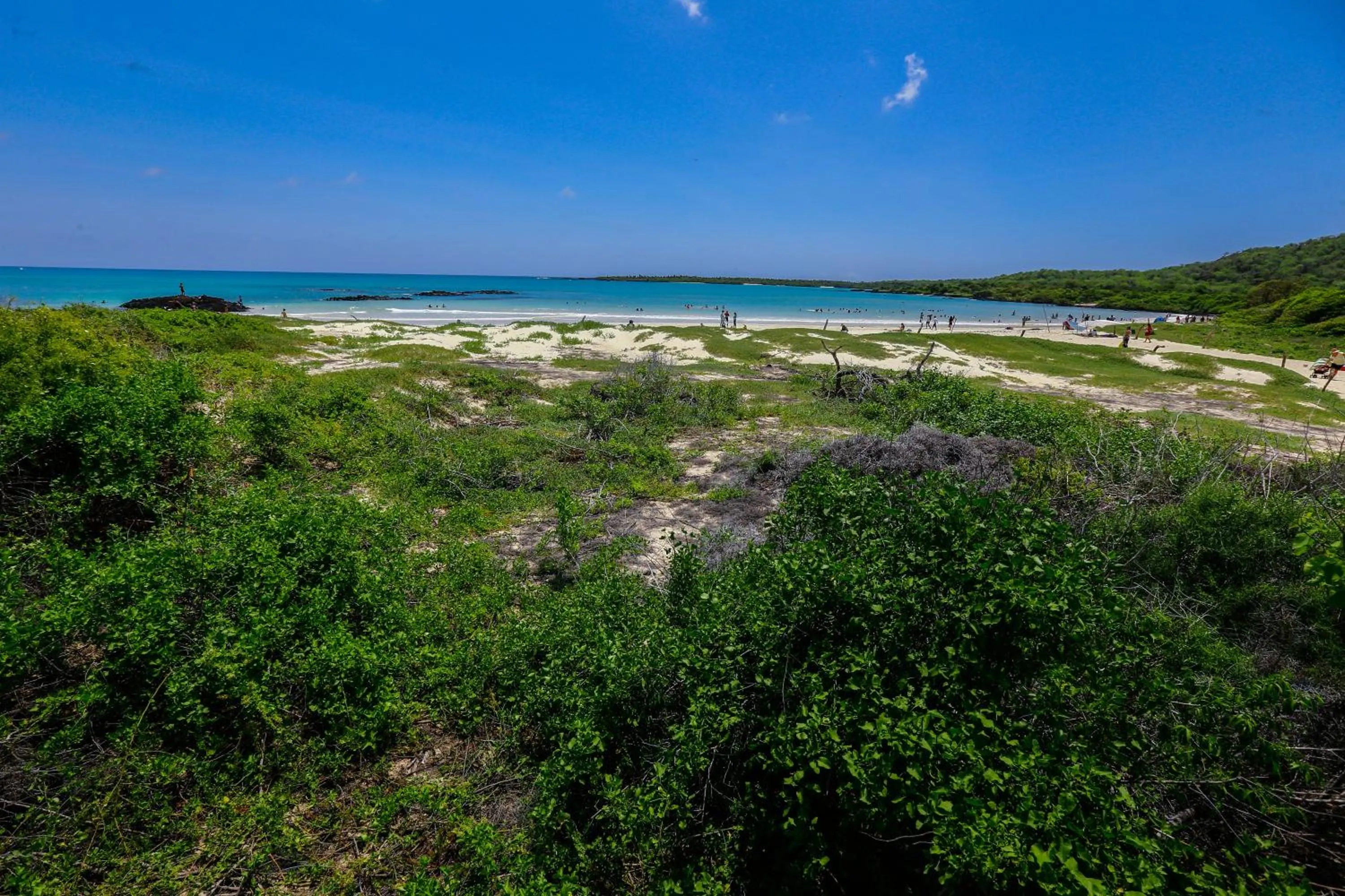 Natural landscape in Hotel Cucuve
