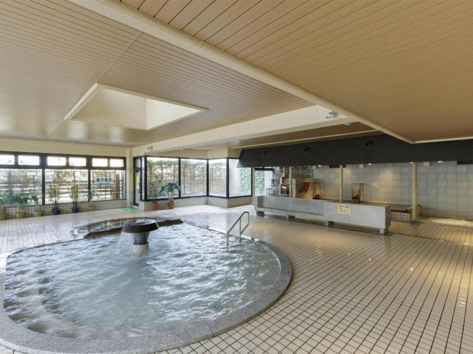 Hot Spring Bath in Aishinkan