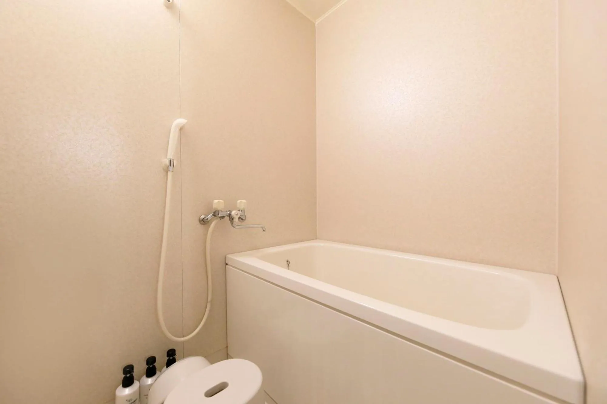 Bathroom in Aishinkan