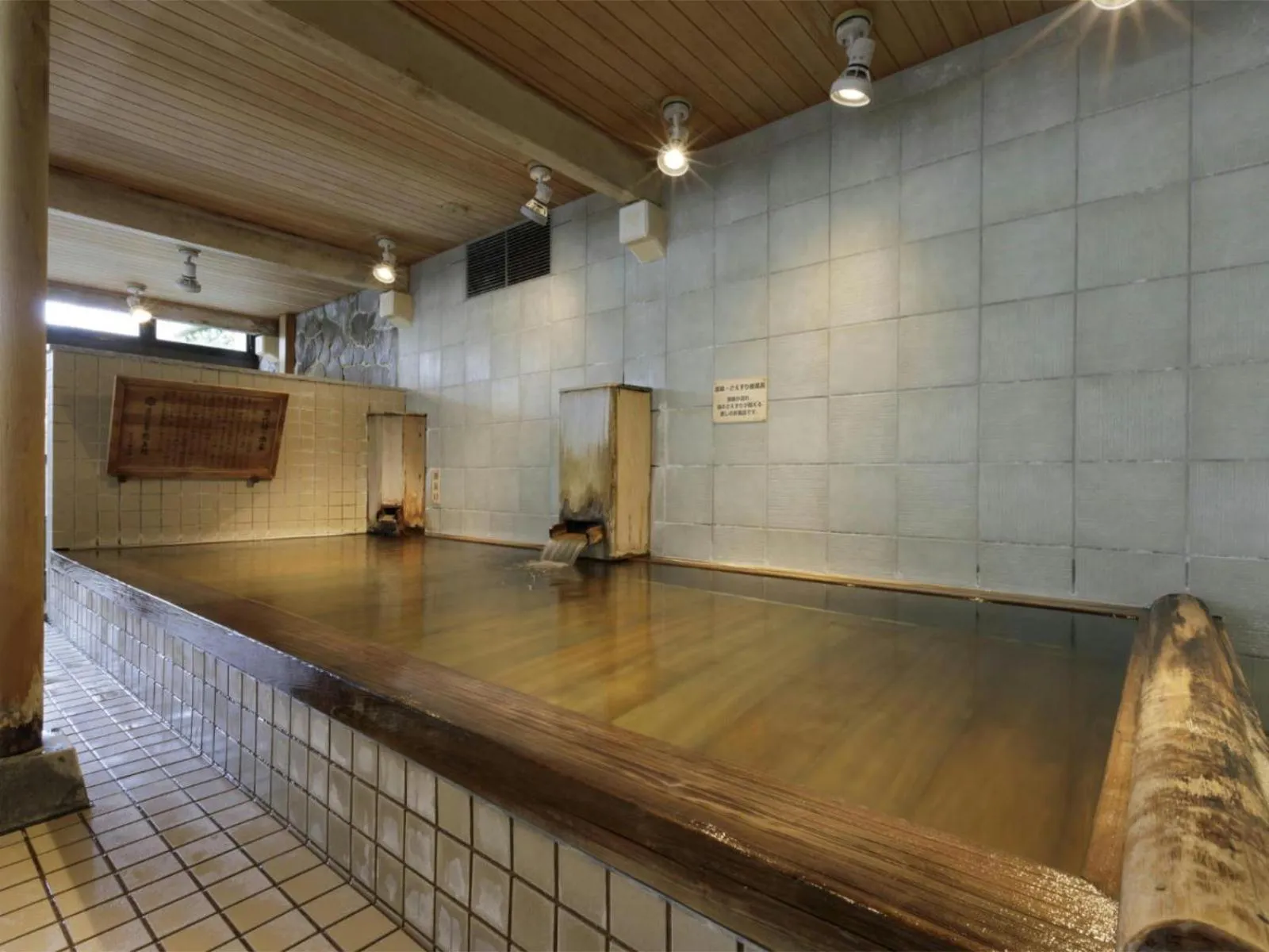 Hot Spring Bath in Aishinkan