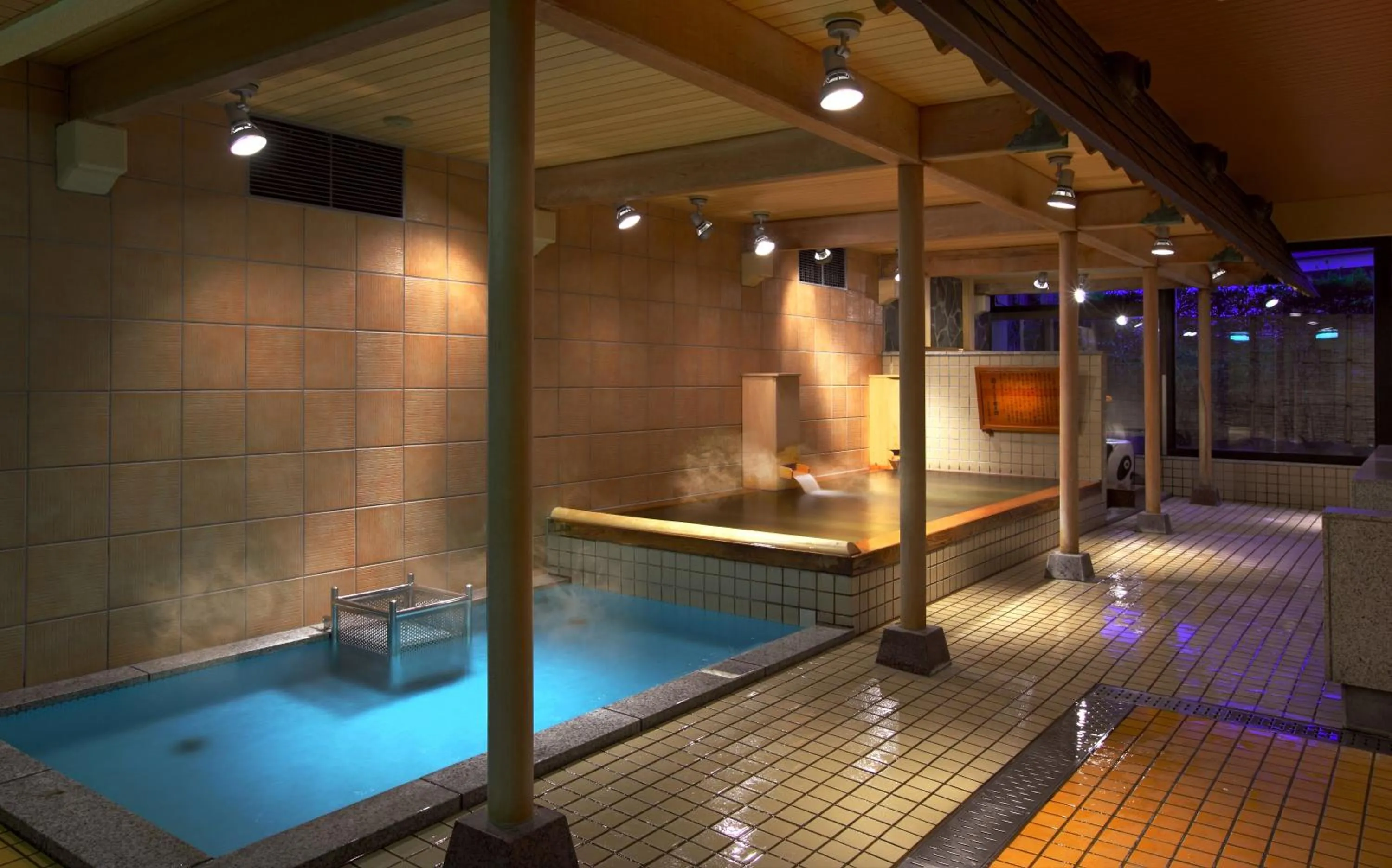Hot Spring Bath in Aishinkan