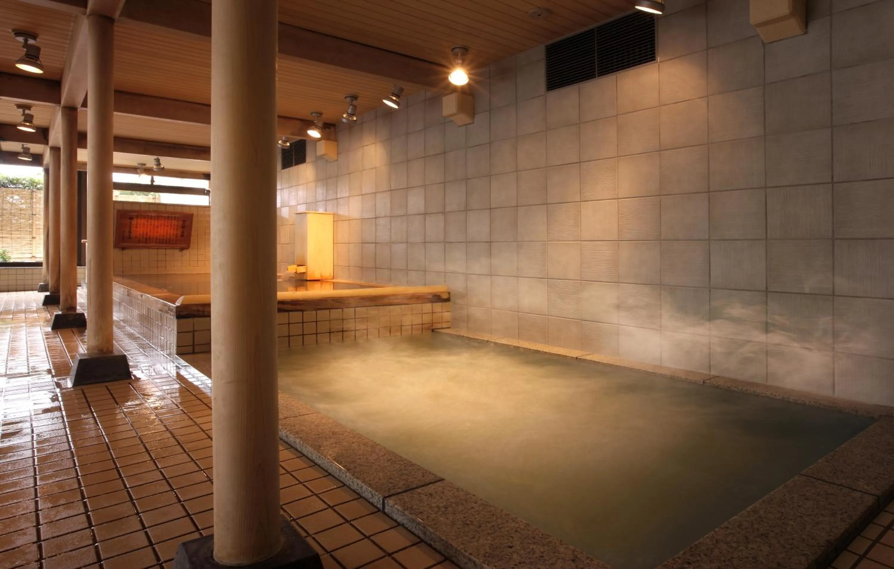 Hot Spring Bath in Aishinkan