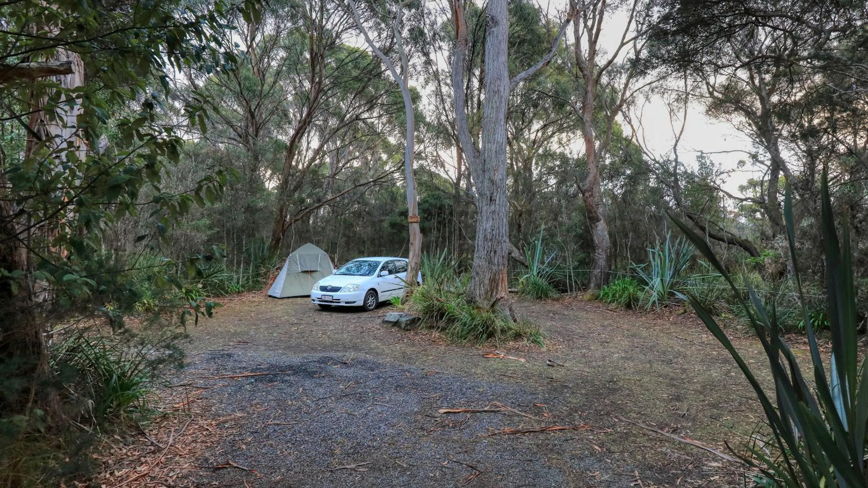 Natural landscape in Crayfish Creek Van & Cabin Park