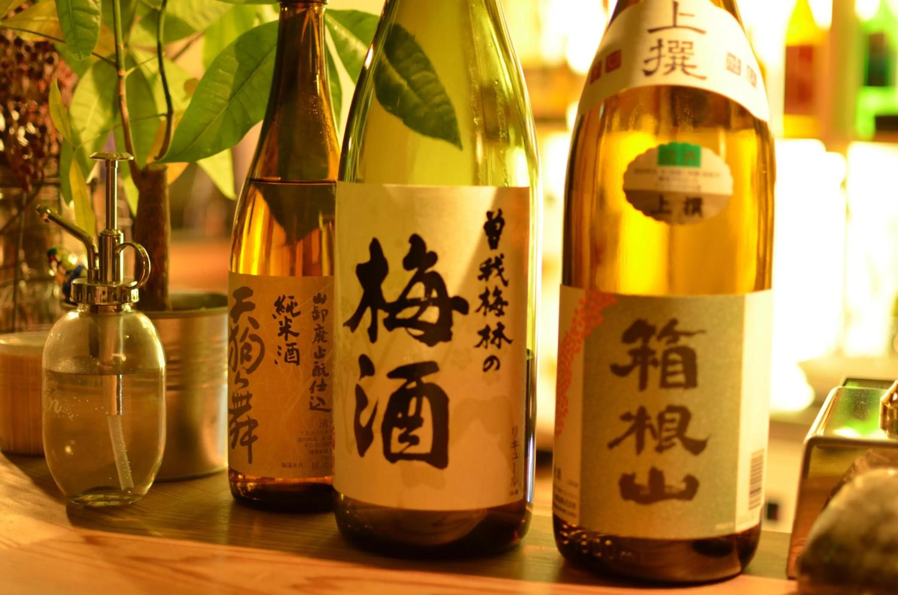 Lounge or bar in GuestHouse Azito