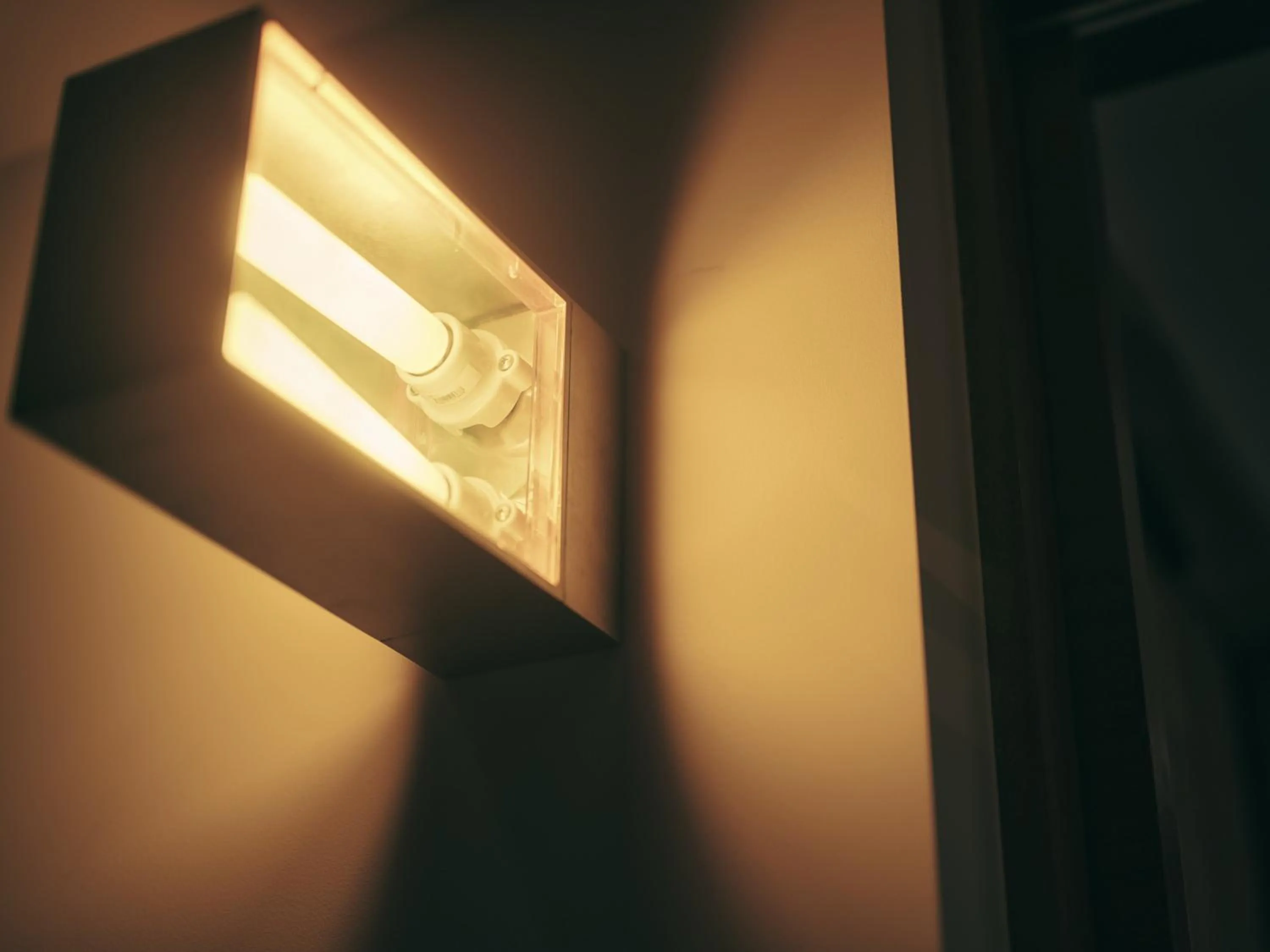 Photo of the whole room in illi Amu Shimokitazawa