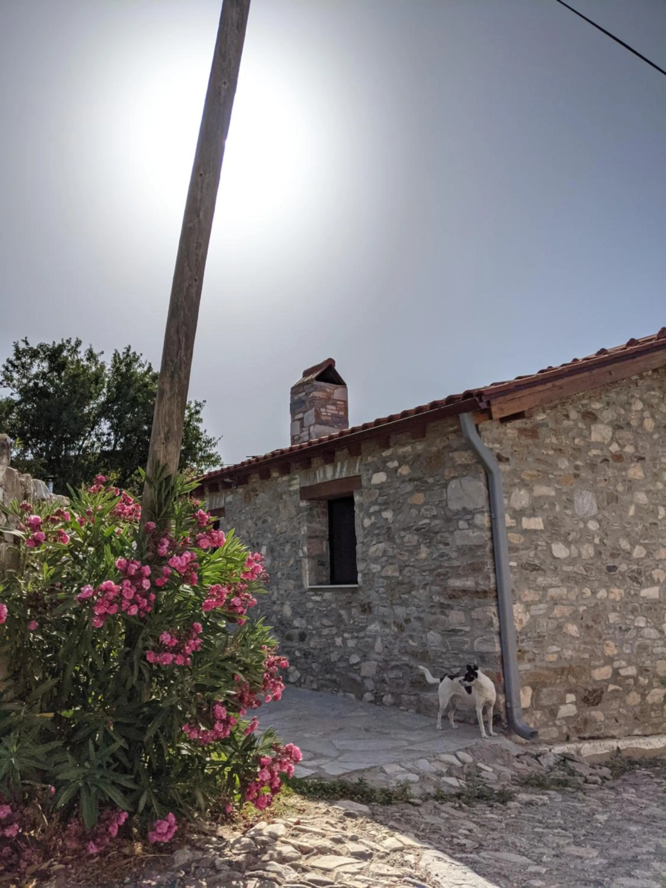 Property building in Bahab Guest House