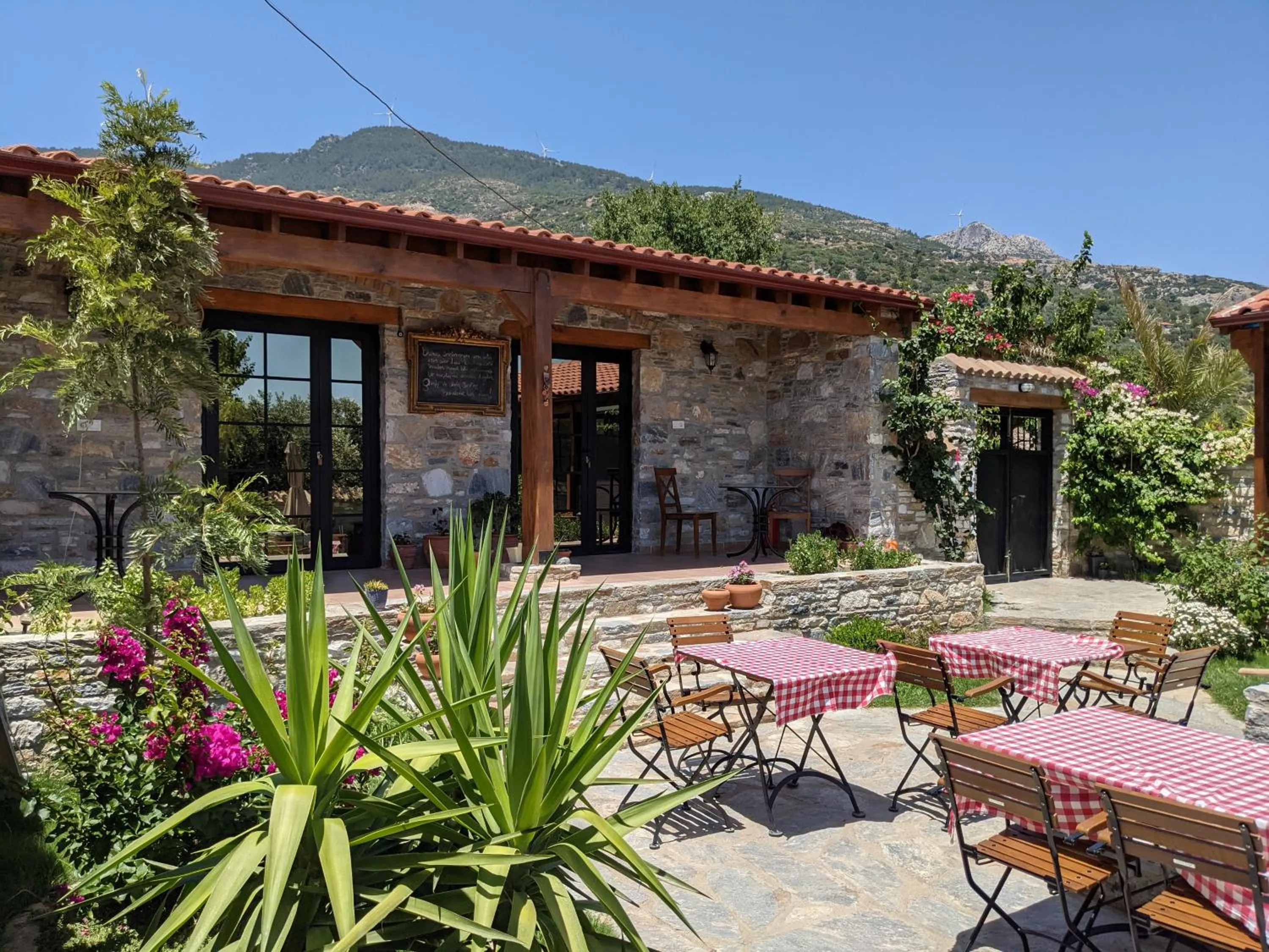 Garden view in Bahab Guest House