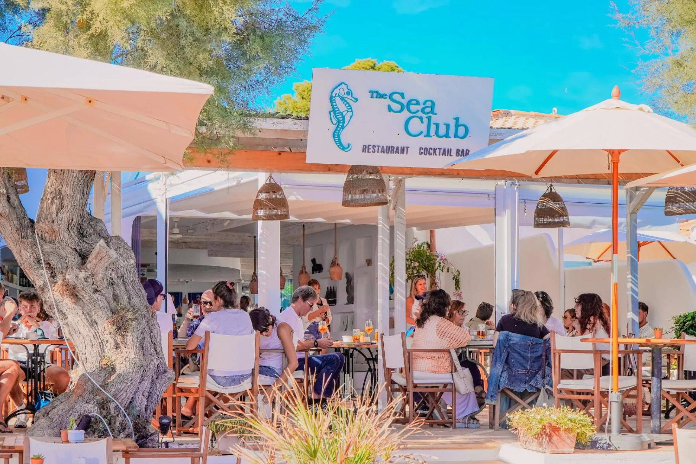 Restaurant/places to eat in The Sea Club