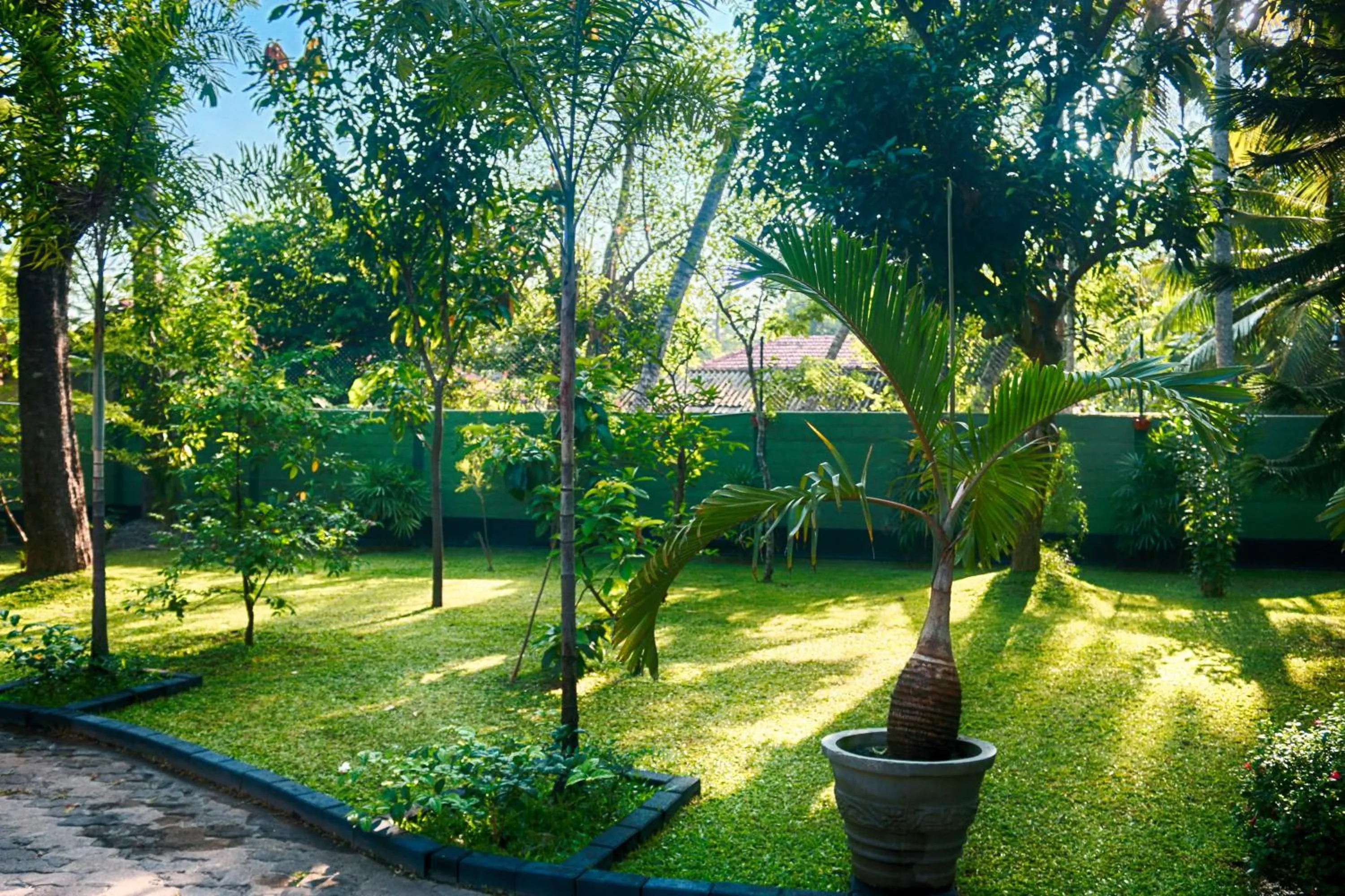 Garden view in West Dene