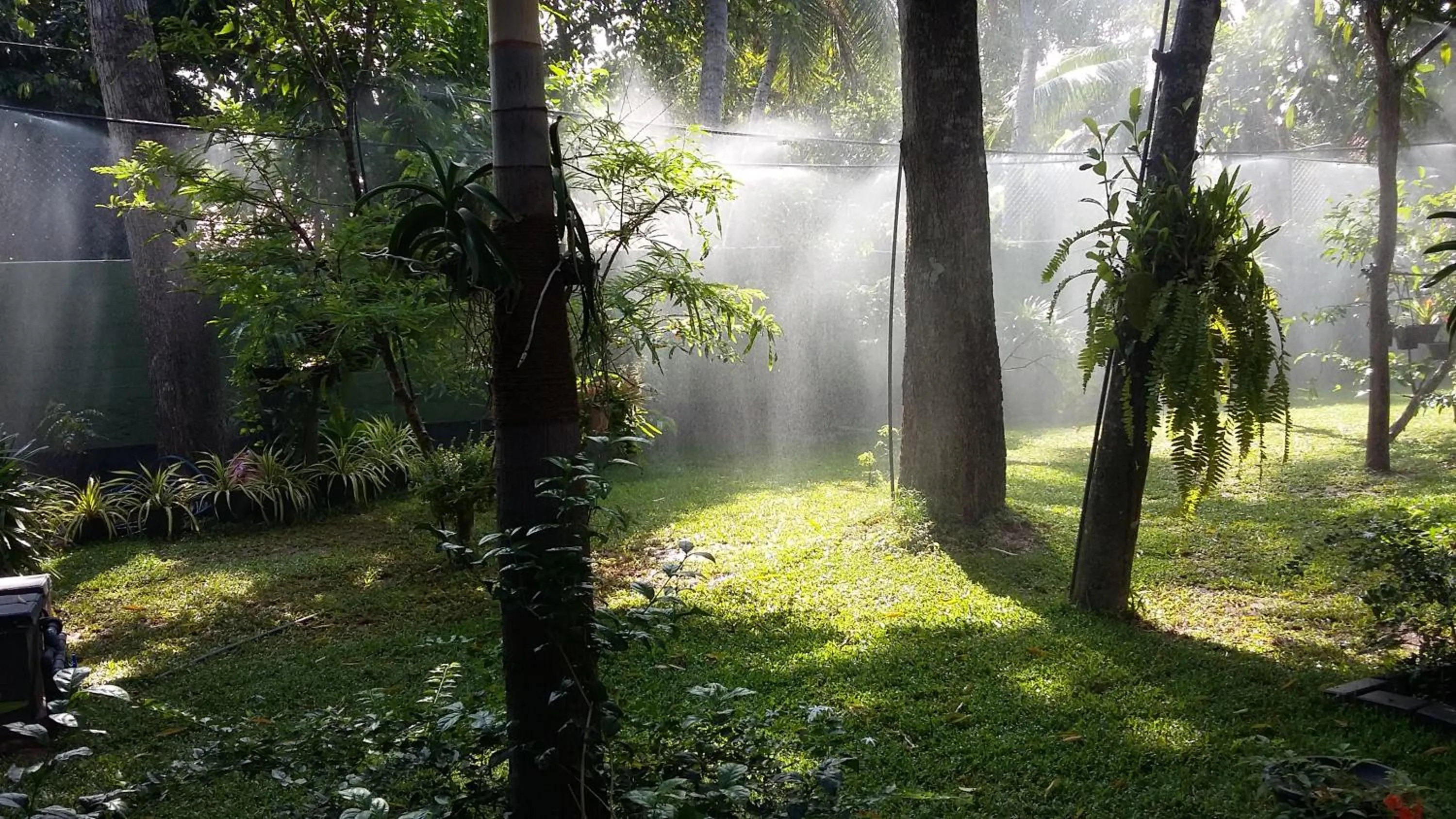 Garden view in West Dene