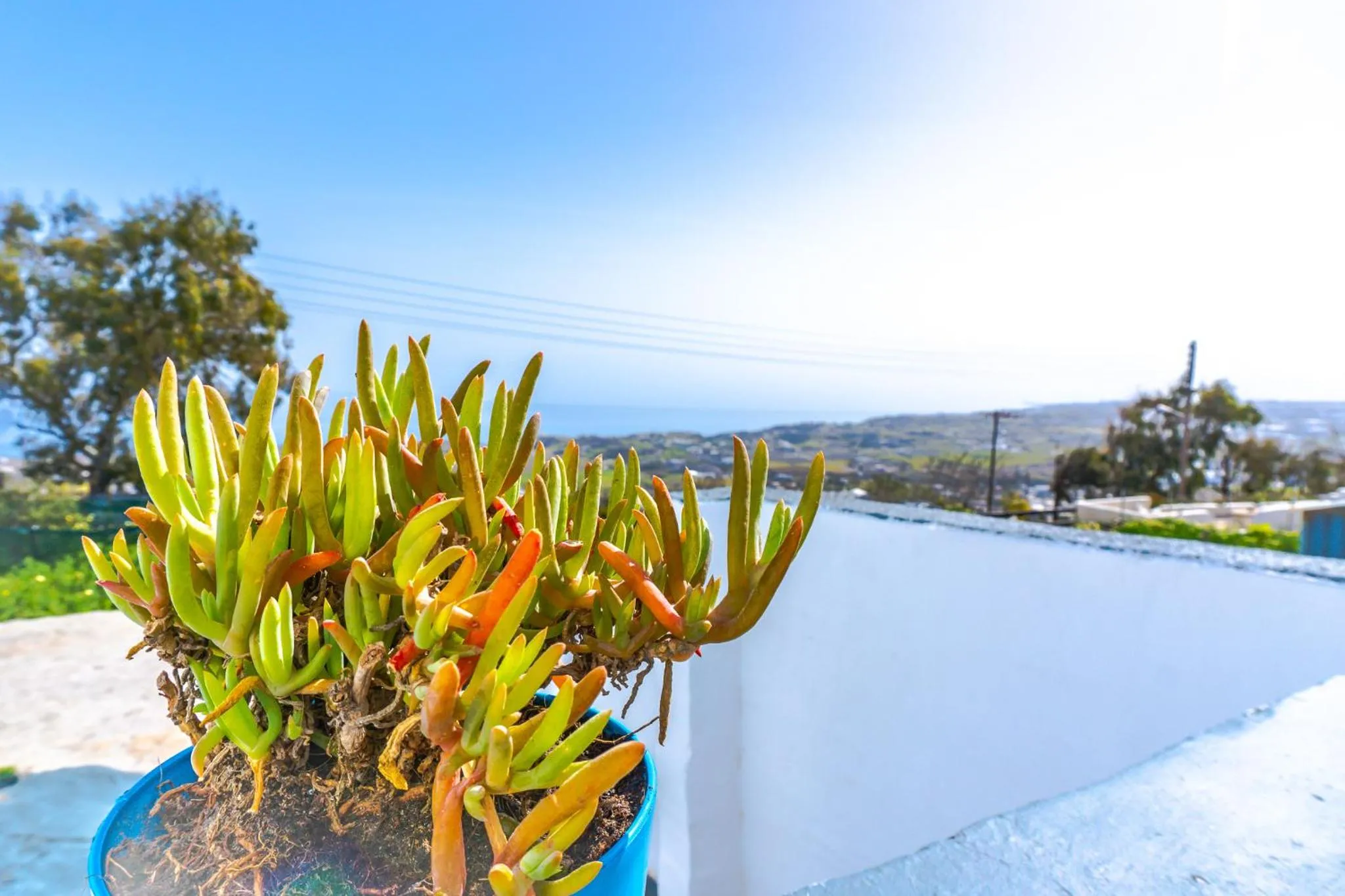 Smarula Villa