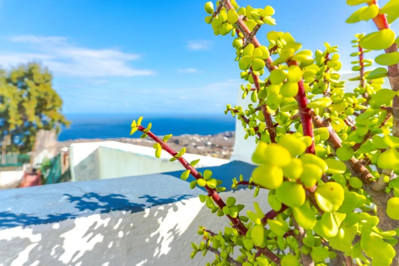 Day in Smarula Villa