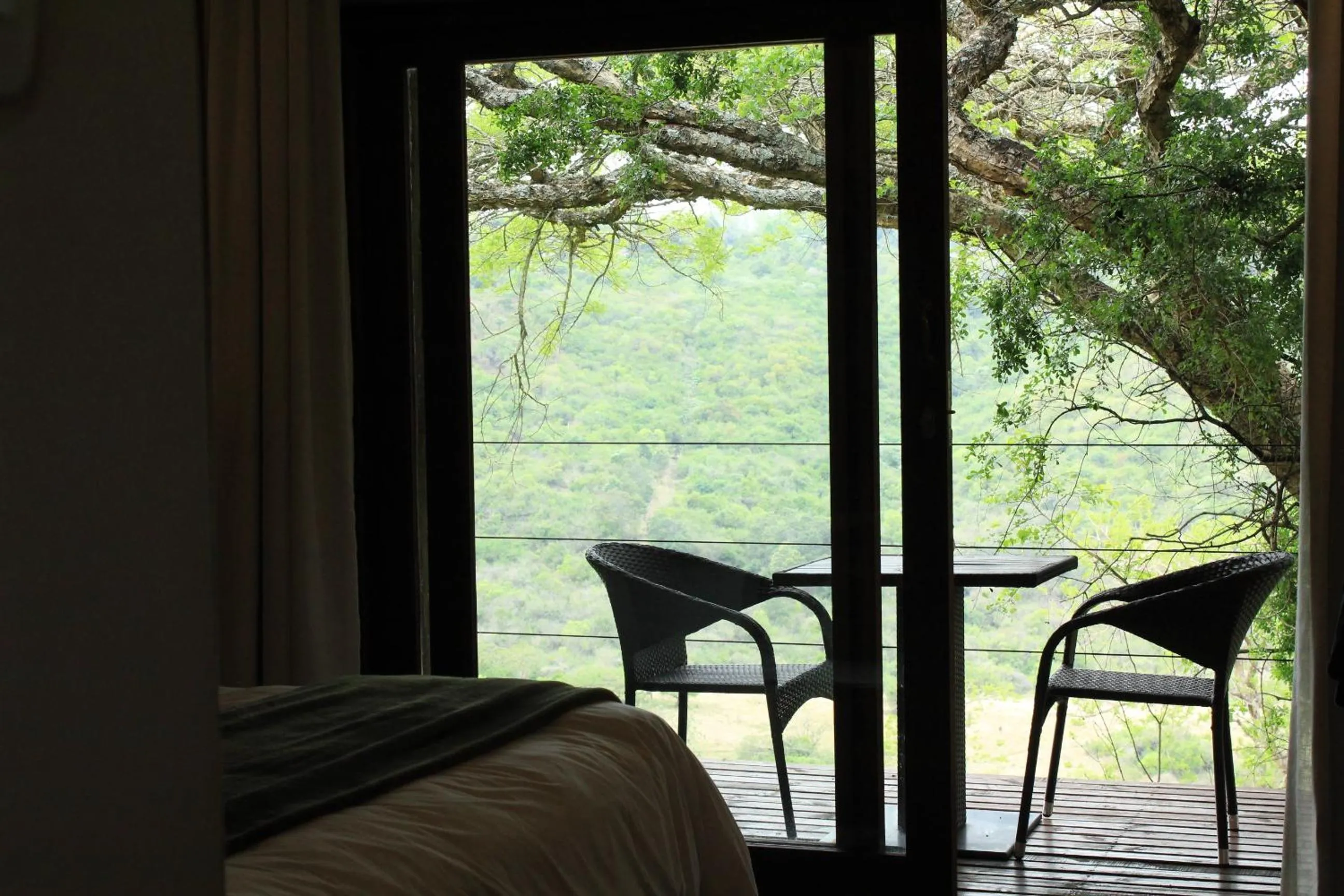 Patio in Hilton Bush Lodge & Function Venue