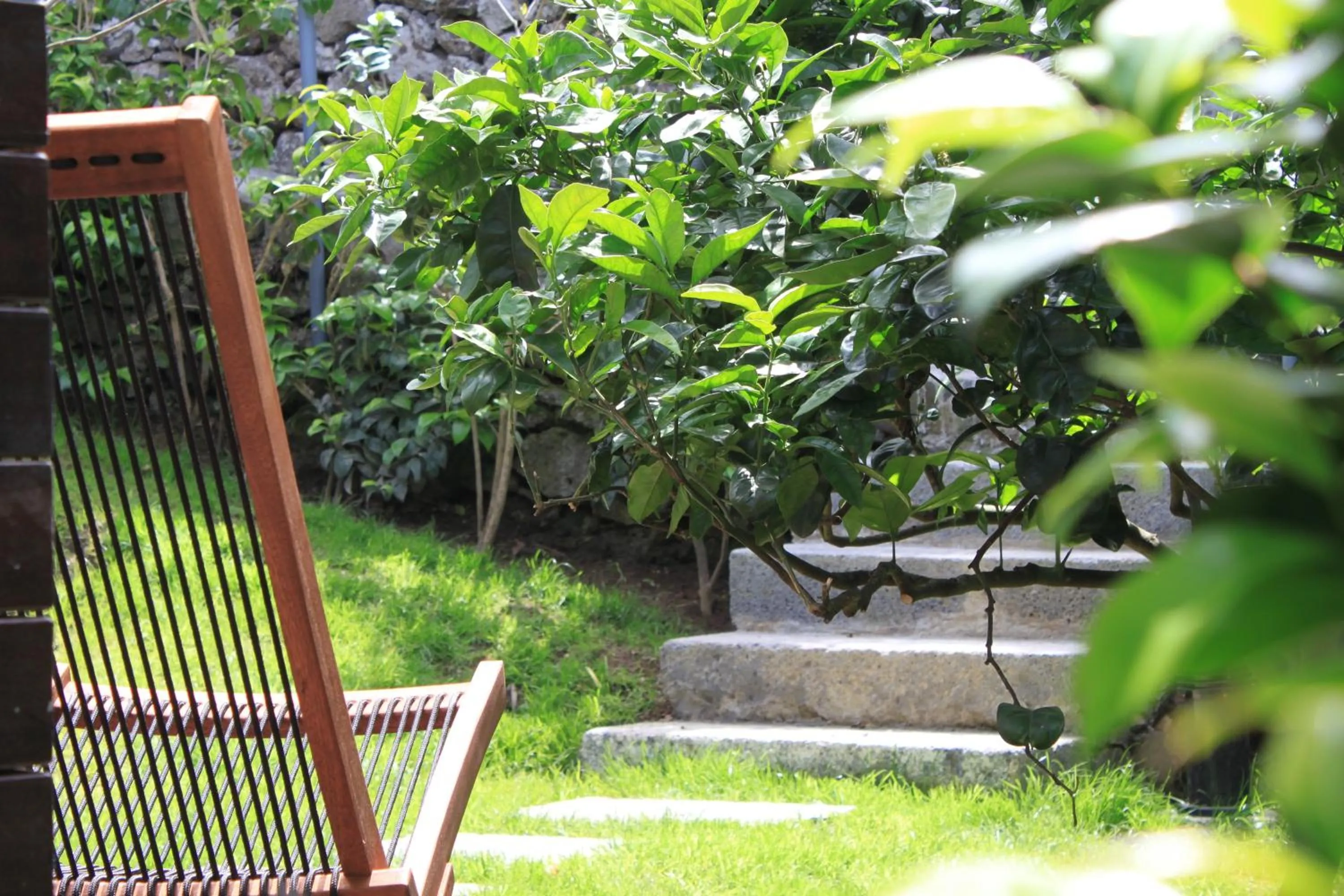 Day in Quinta das Rosas Villas