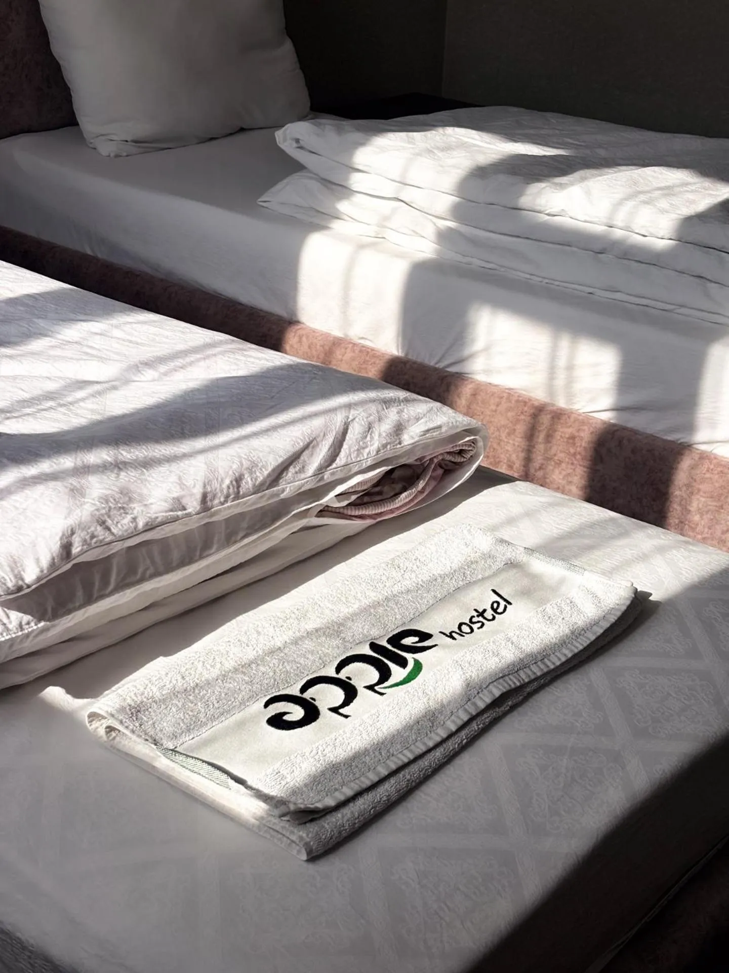 Bed in Apple Hostel Bishkek