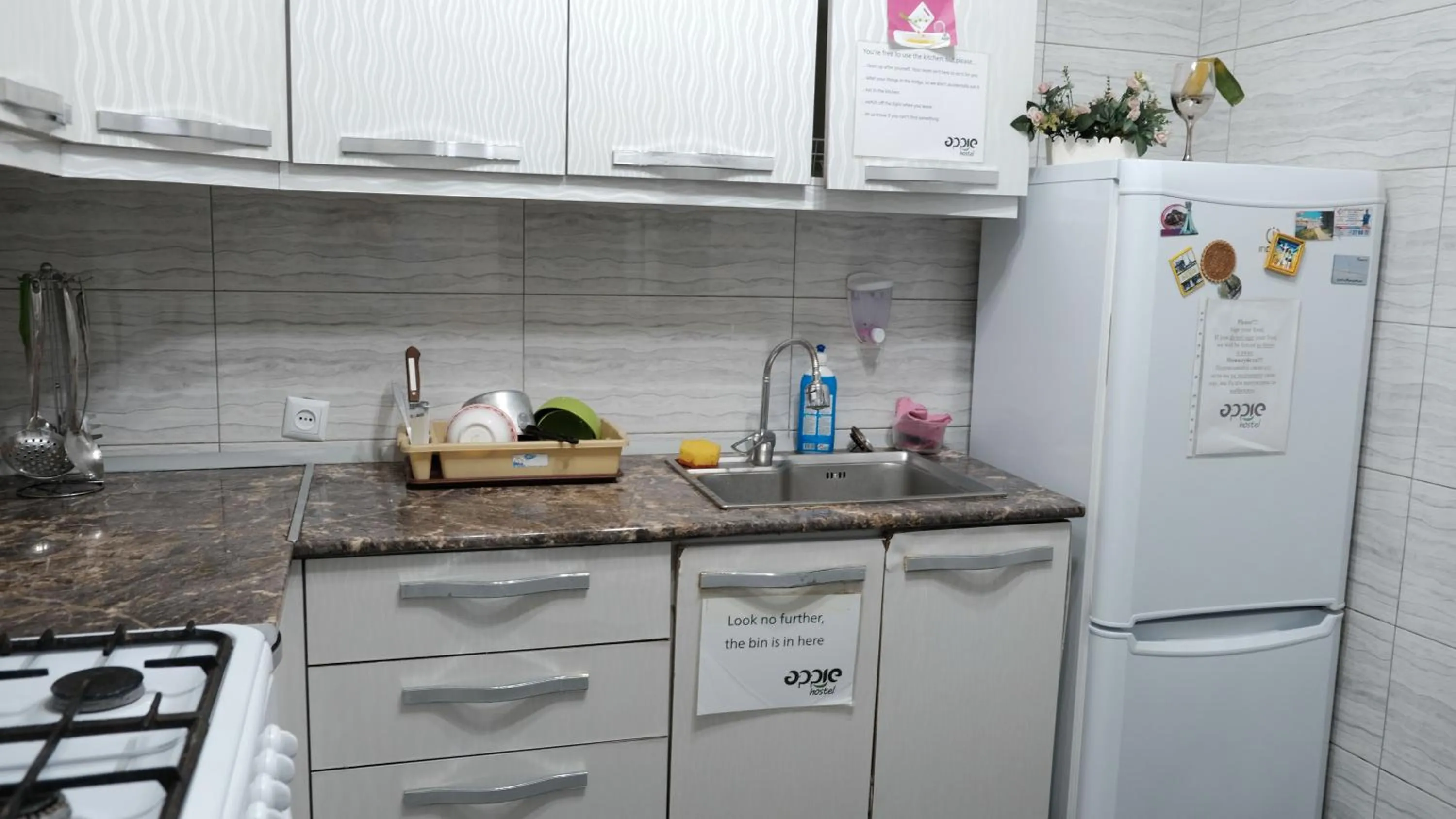 Kitchen or kitchenette in Apple Hostel Bishkek