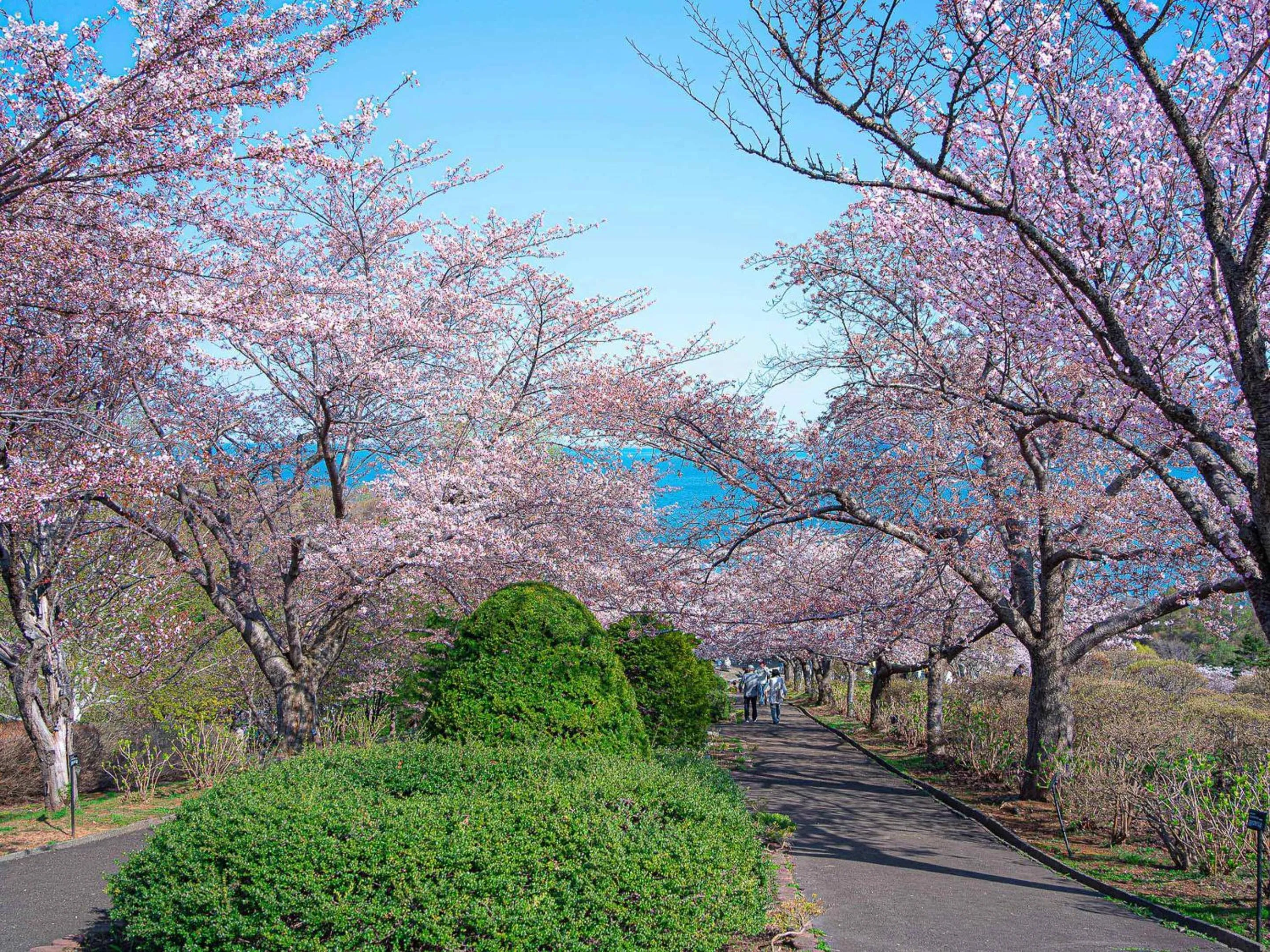 Nearby landmark in Granbell Hotel Otaru