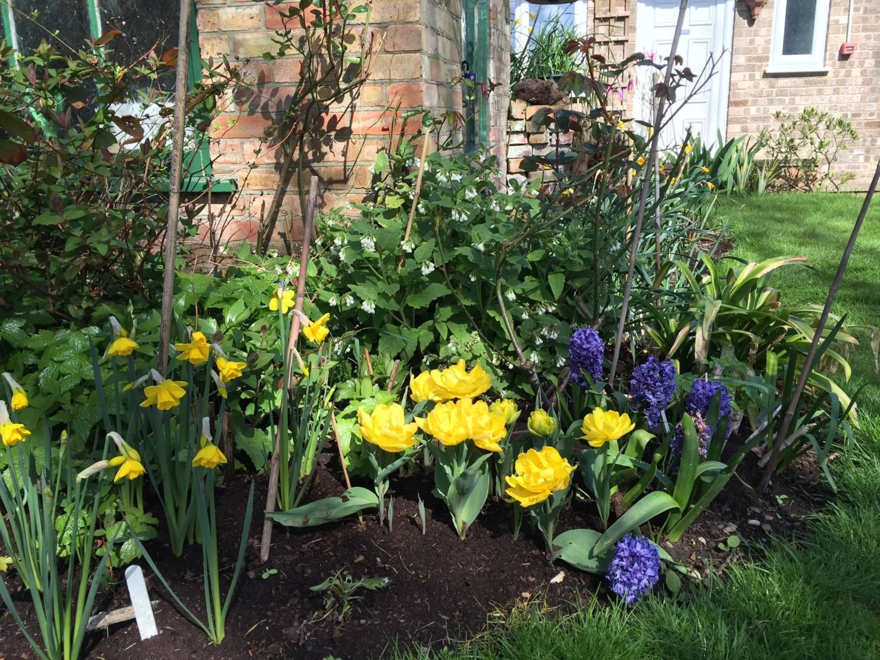 Garden in Fairlight Lodge
