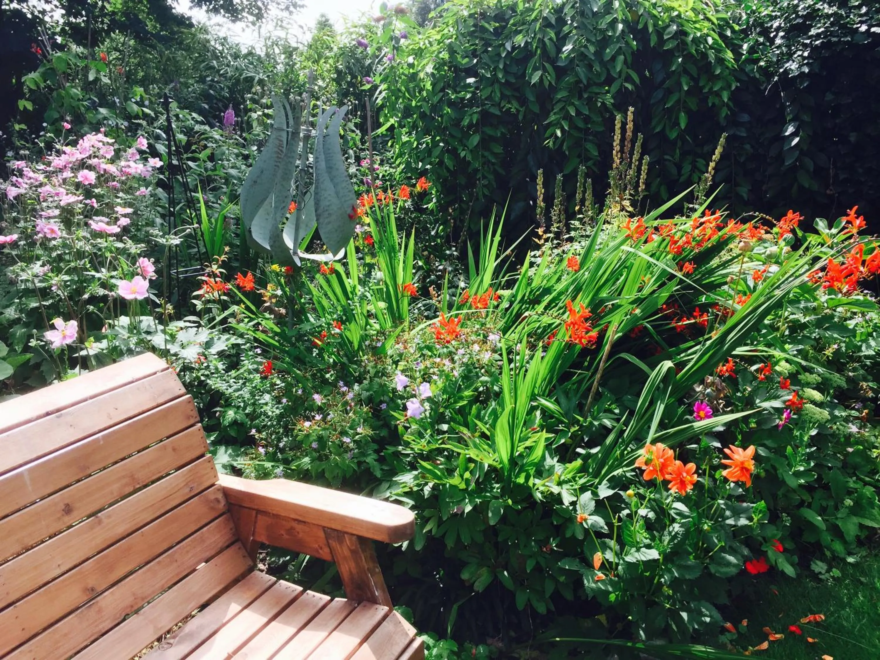 Garden in Fairlight Lodge