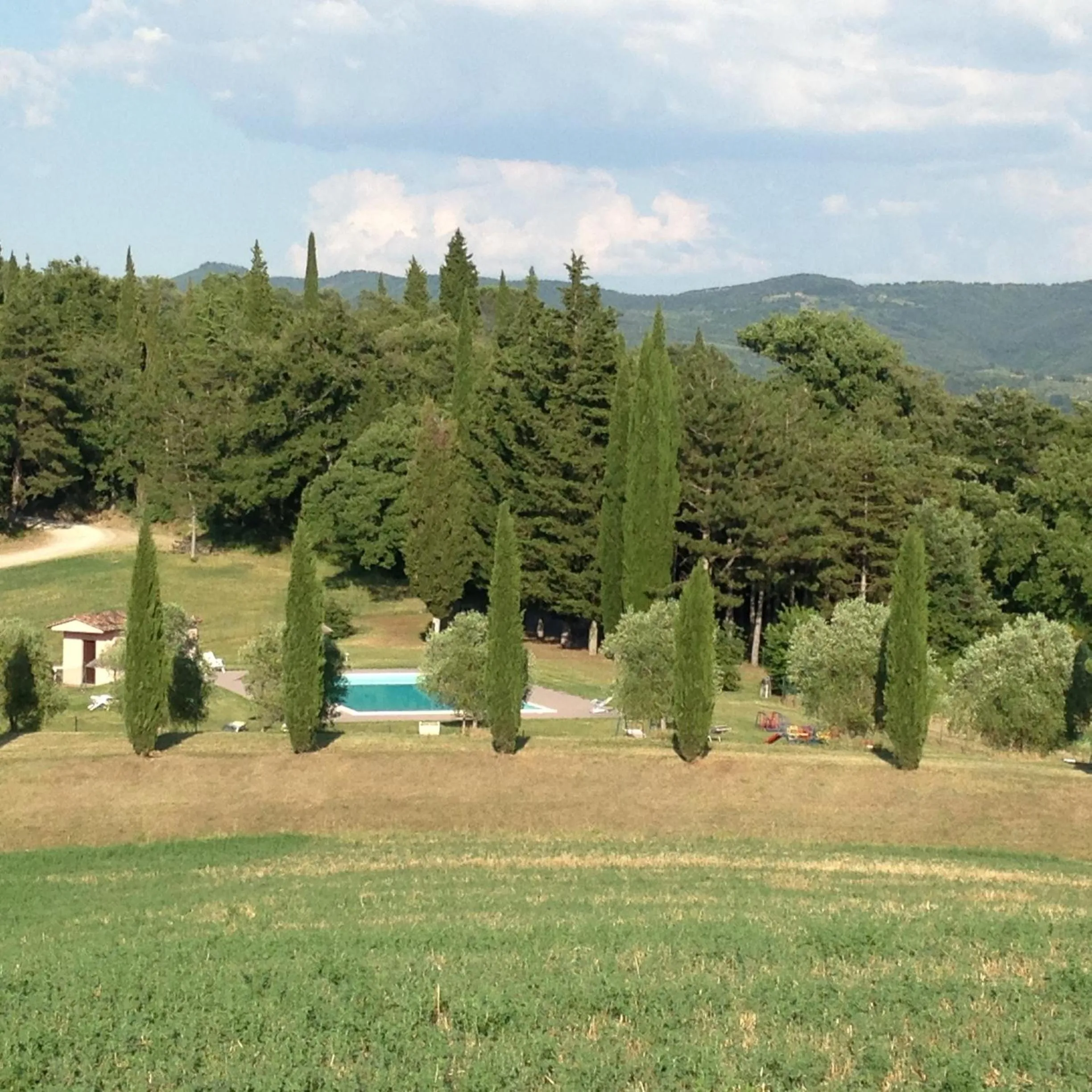 Swimming pool in Le Palazze B&b