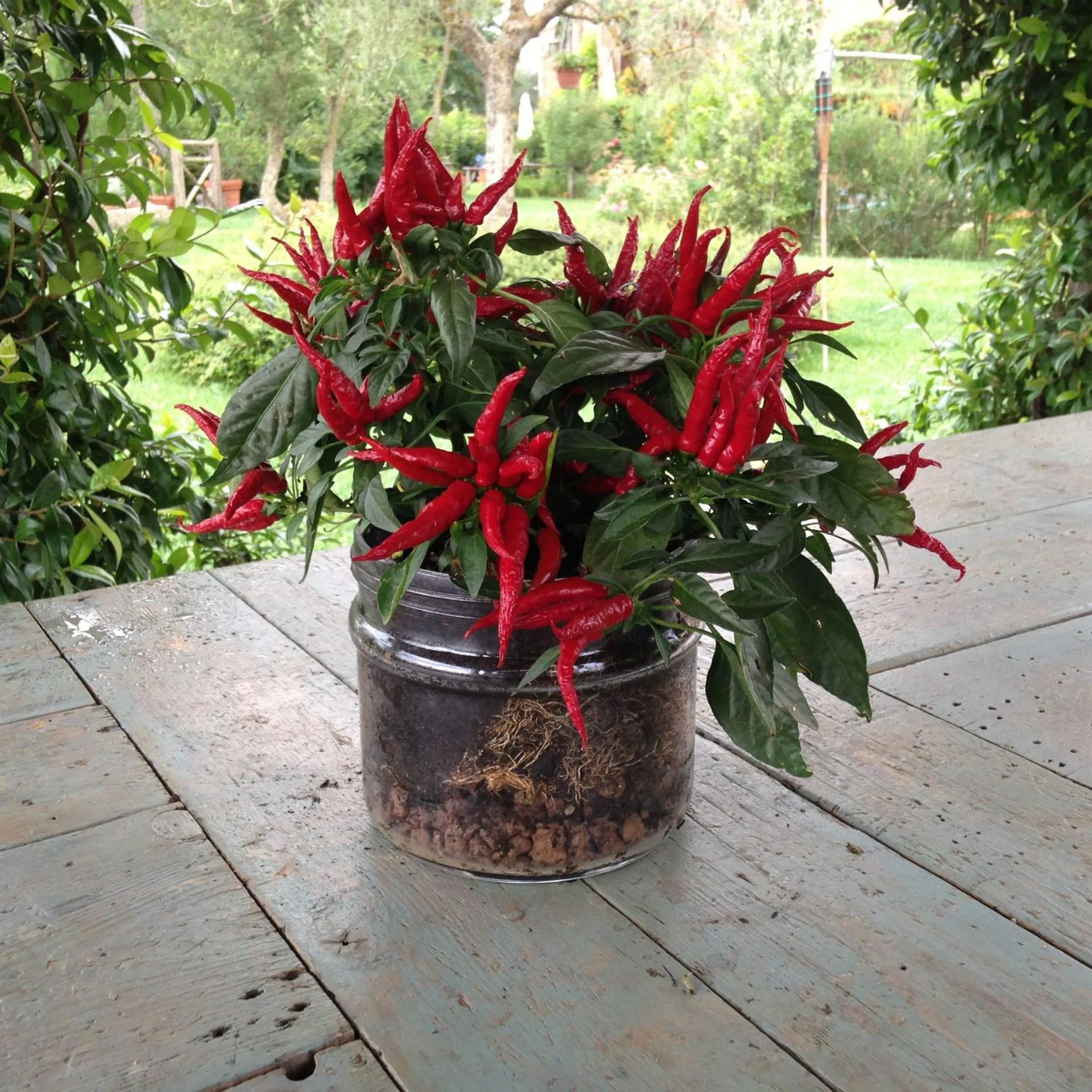 Decorative detail in Le Palazze B&b
